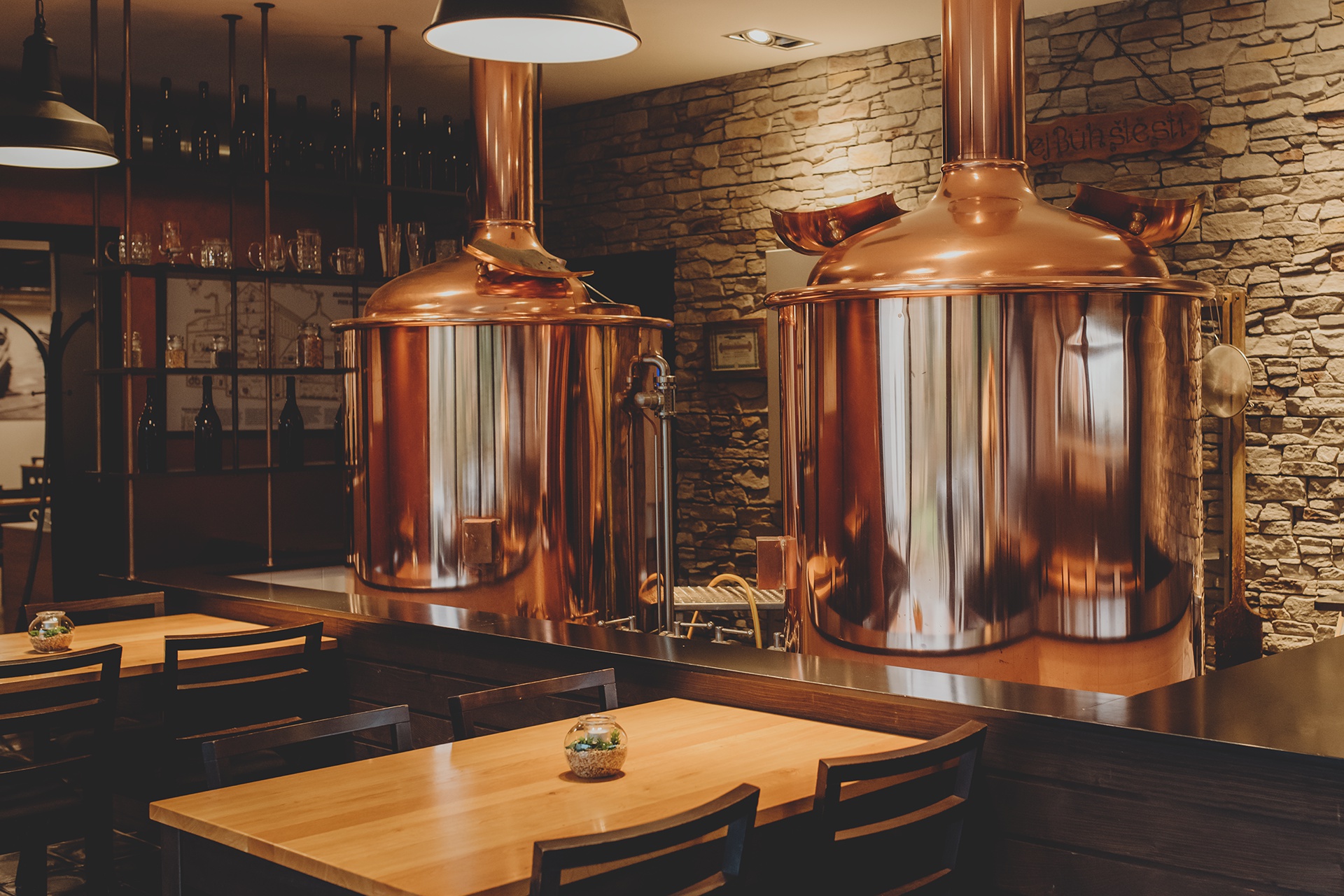 Penzion Nový Rybník foto 5