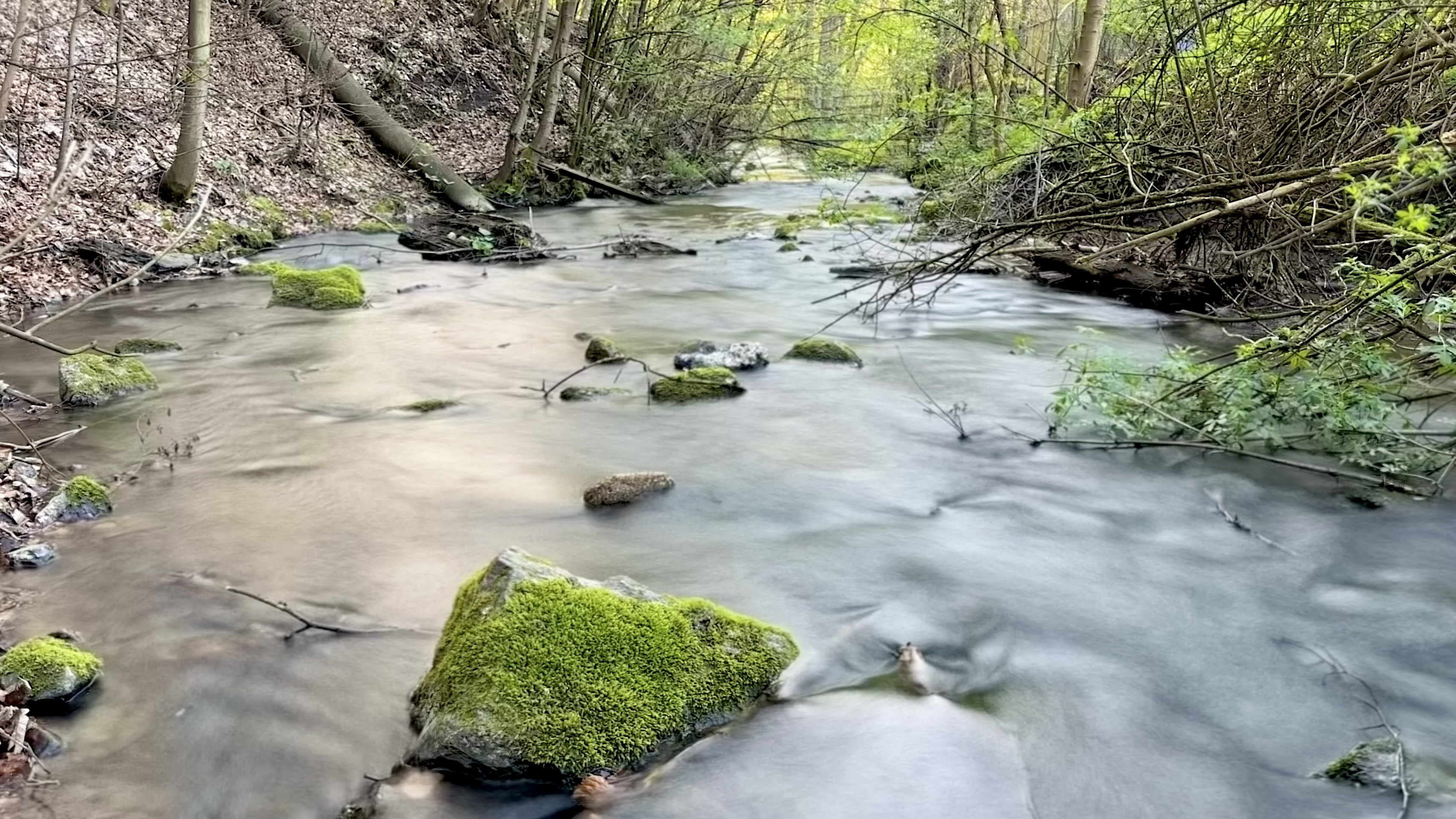 Lesní bar U poustevníka Jáchyma foto 4