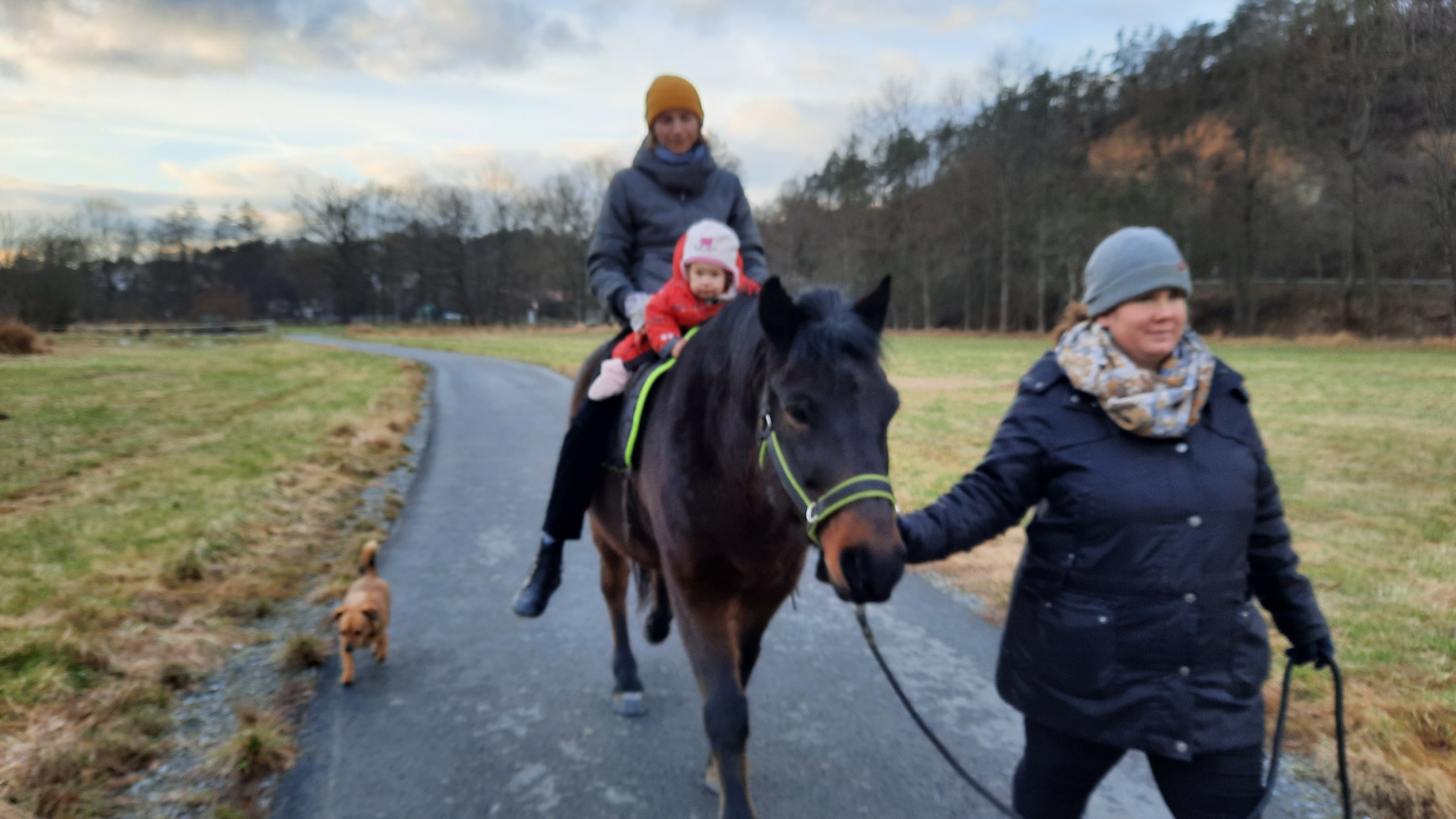 Farma Jitřenka, z.s. foto 5
