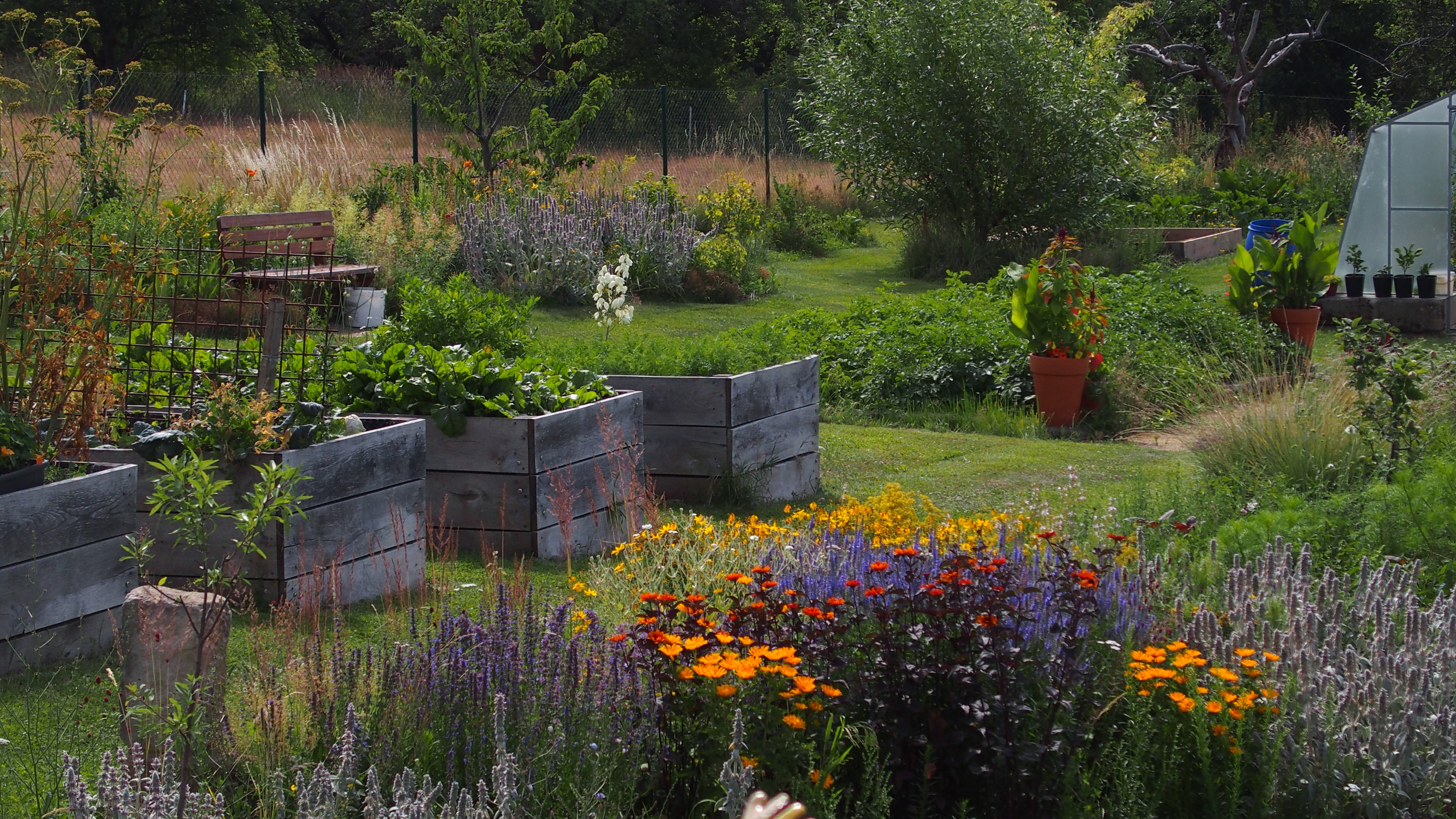 O. Rychnovský, Okolík - zahradník z kopce foto 6