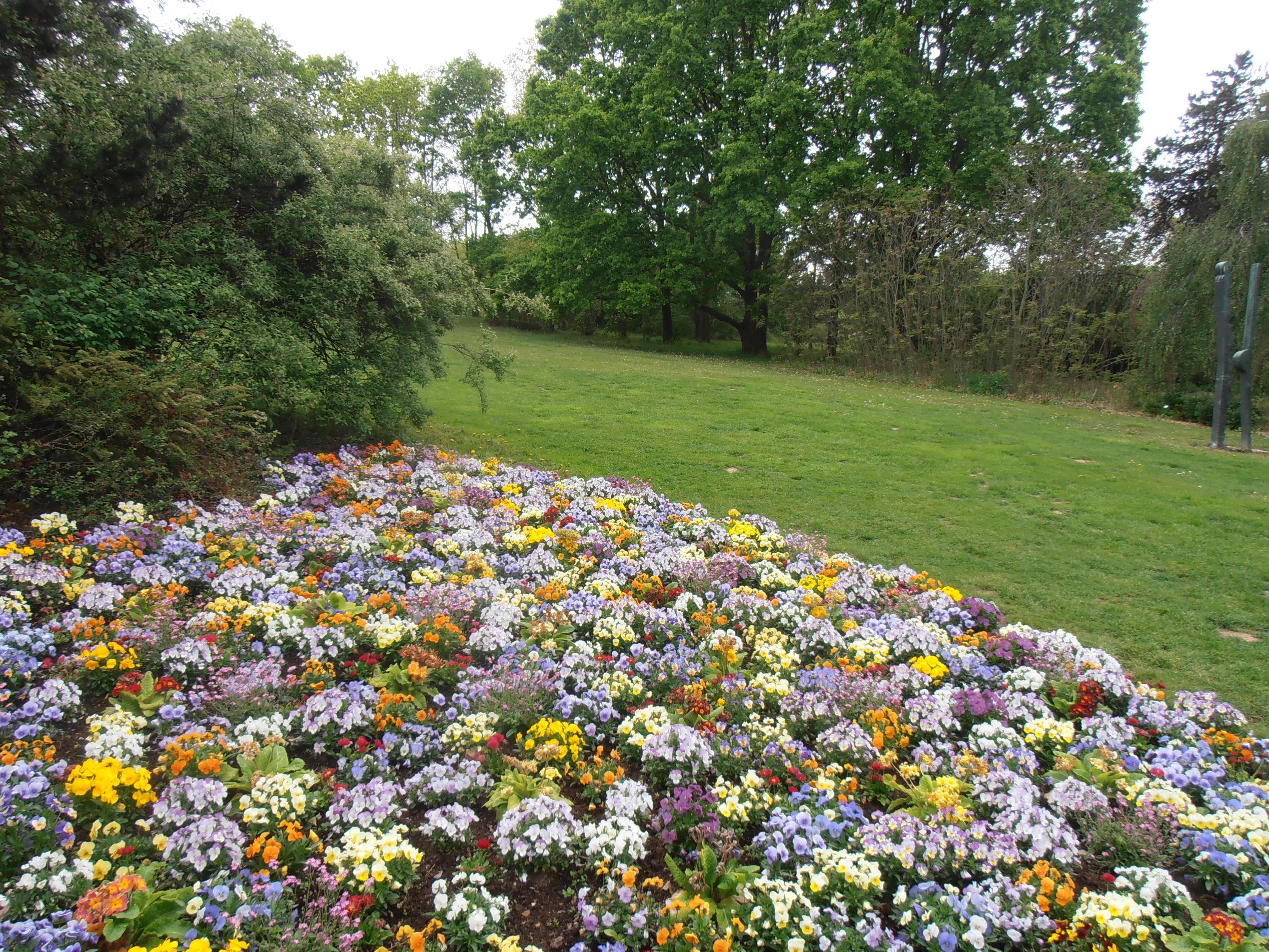 Dendrologická zahrada Průhonice