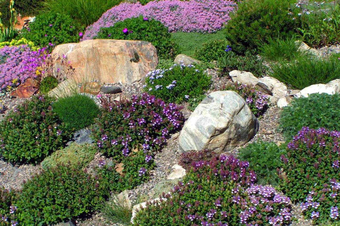 Správa nemovitostí Lucie Pšenáková