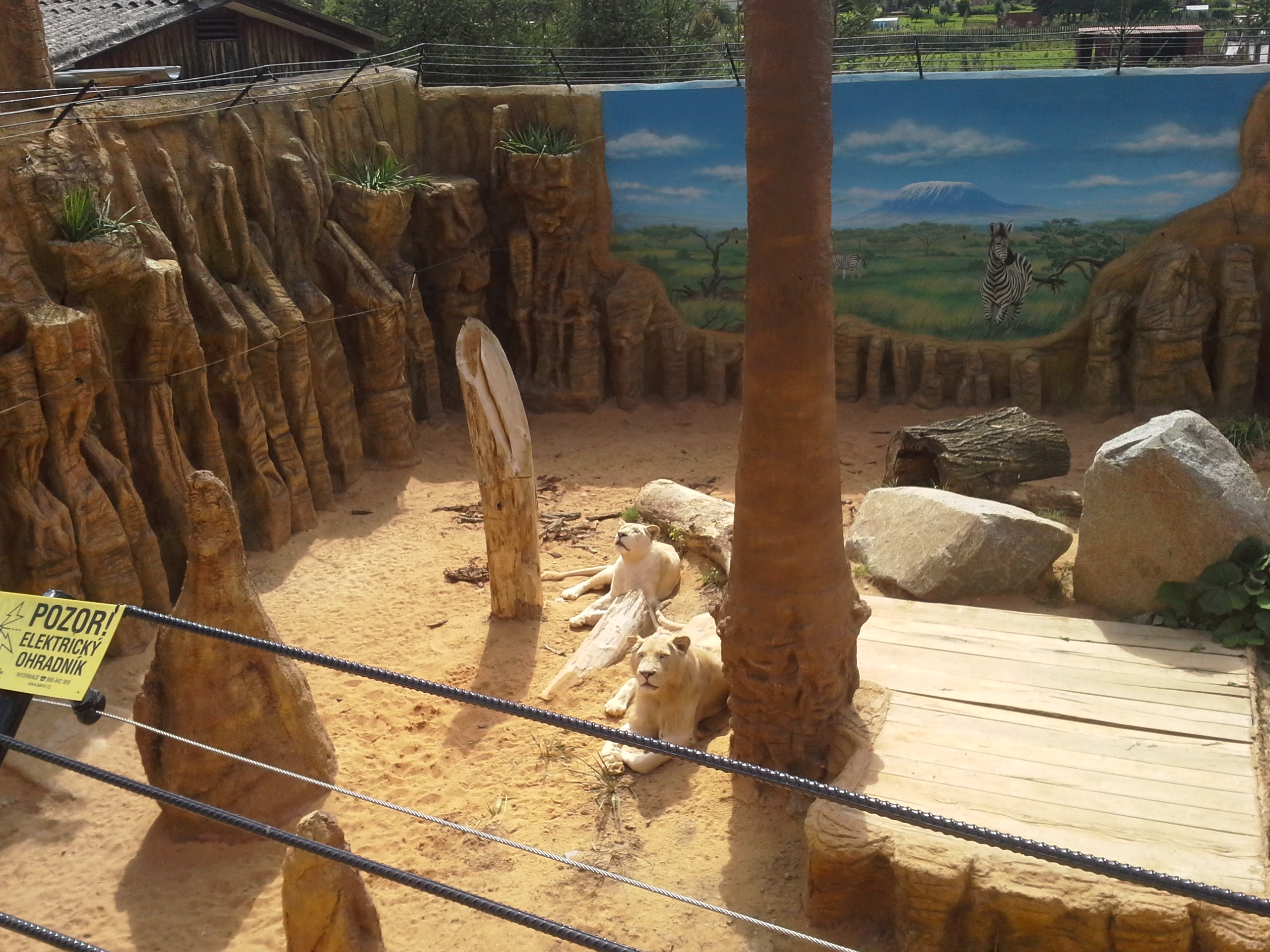 Zoo Plasy foto 4