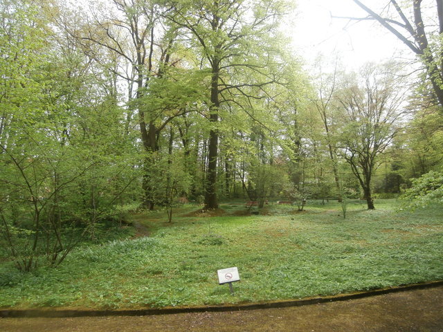 Botanická zahrada při VOŠ a SZEŠ v Táboře foto 4