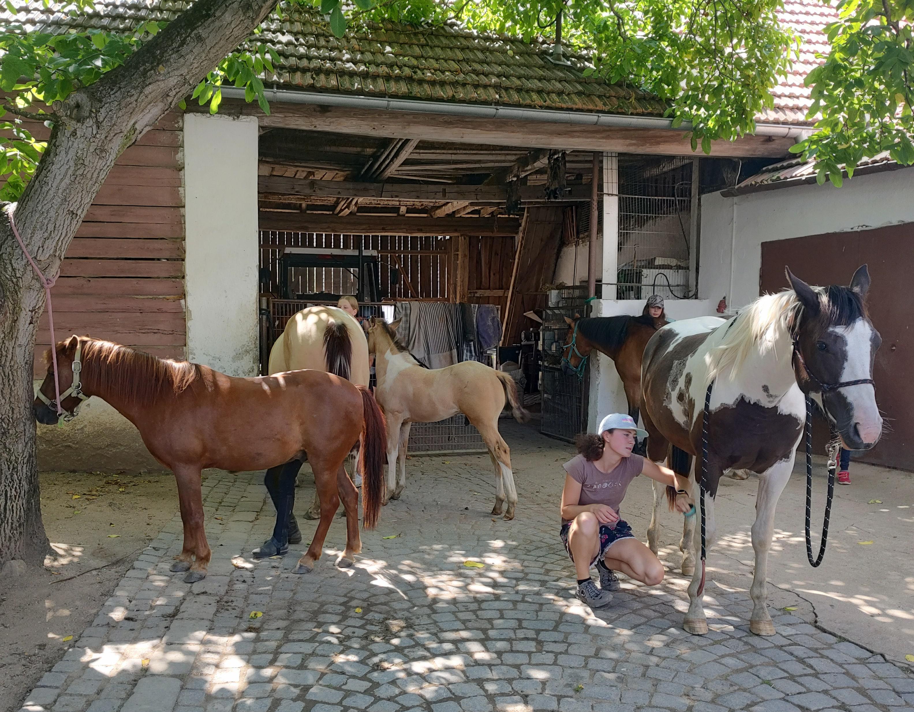 Ranč pod Jasany foto 5