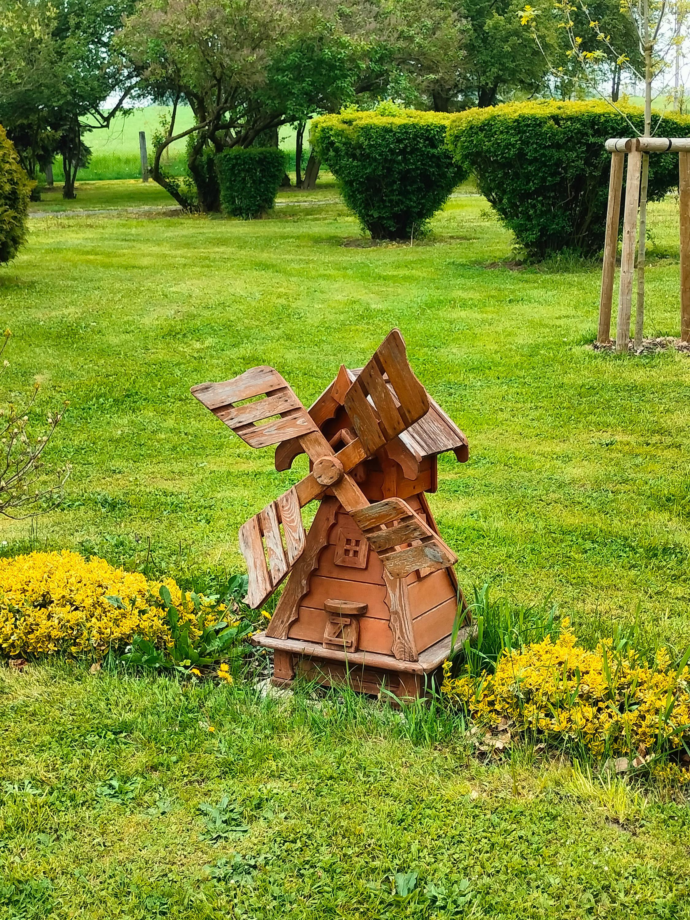 Domov Letokruhy foto 2