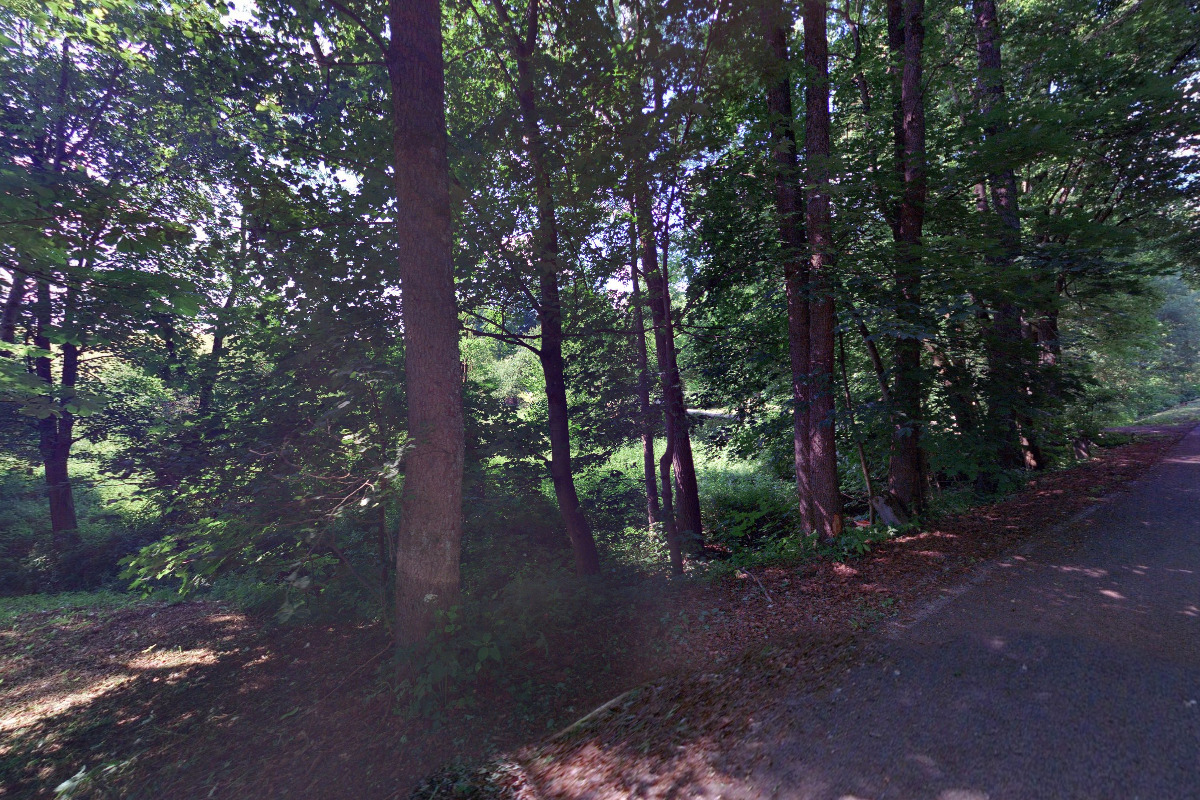 Villa Javorník - Mladé Buky