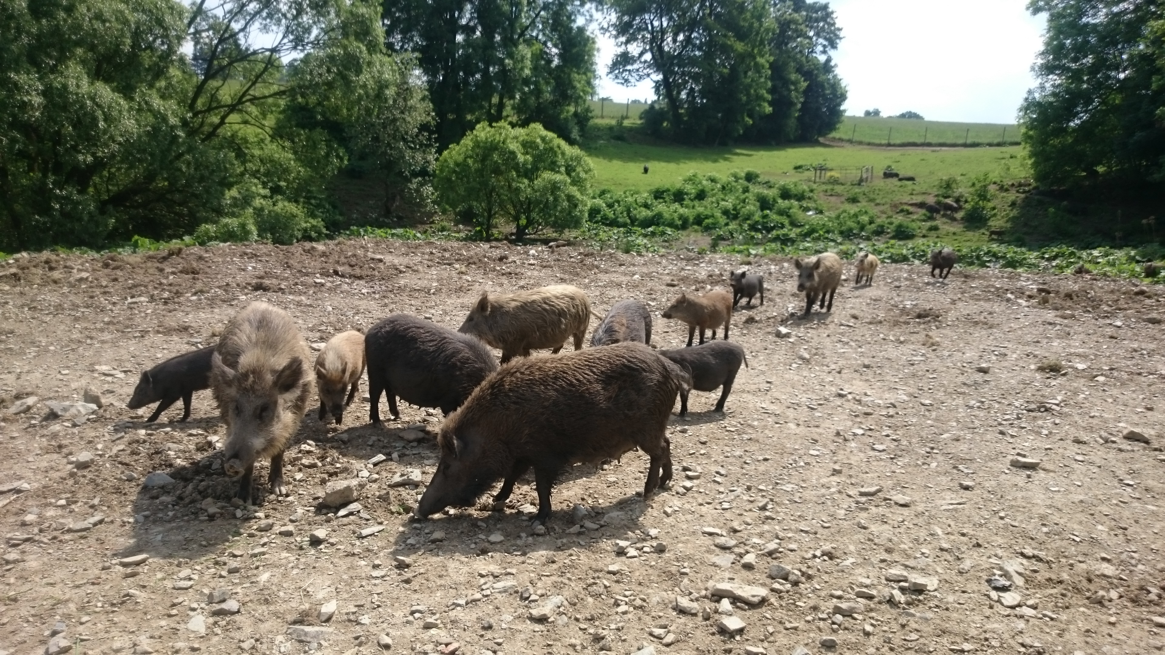 Africké muzeum Safari foto 2