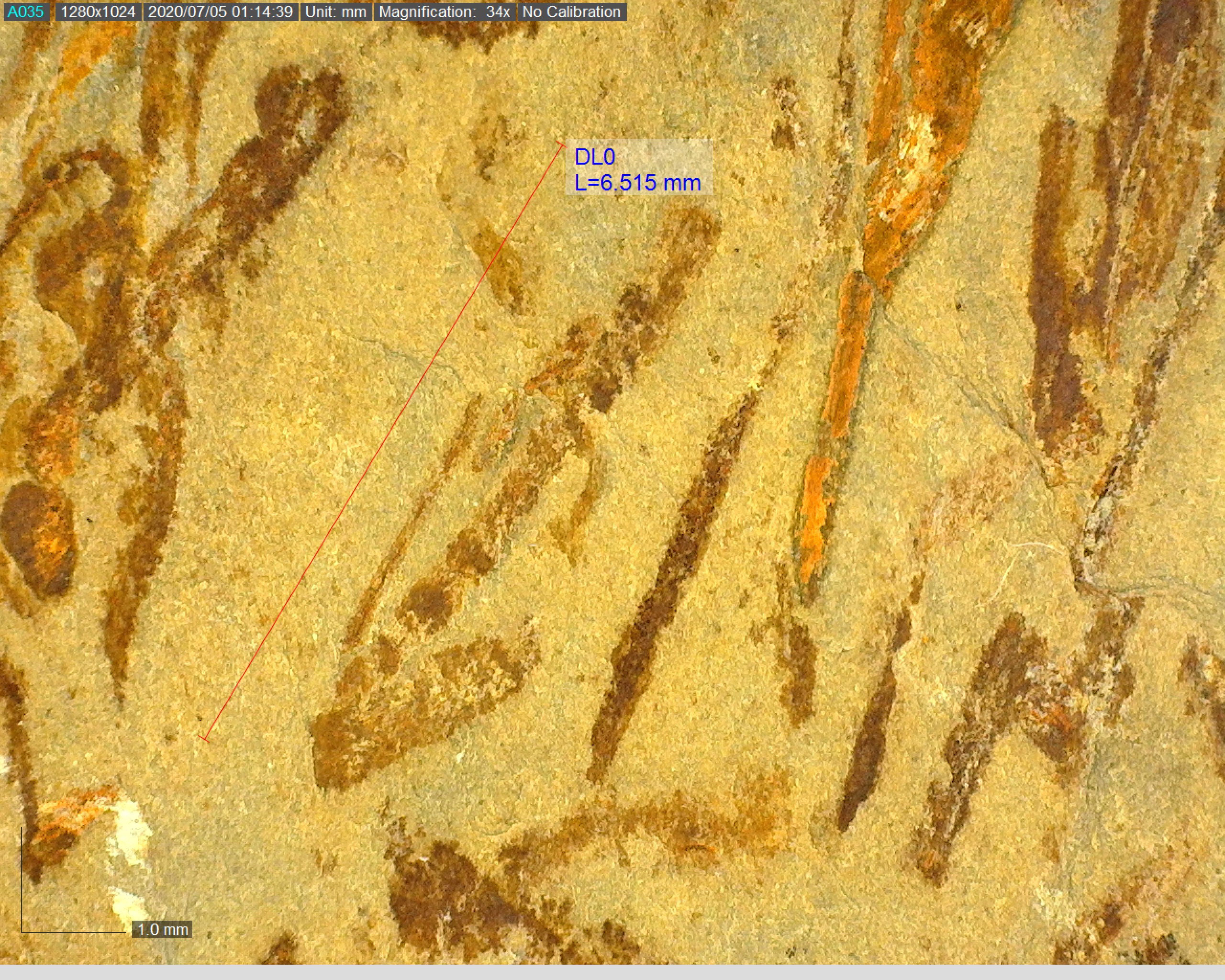 GEOložka / Ing. Lenka Petrušková, Ph.D. foto 5