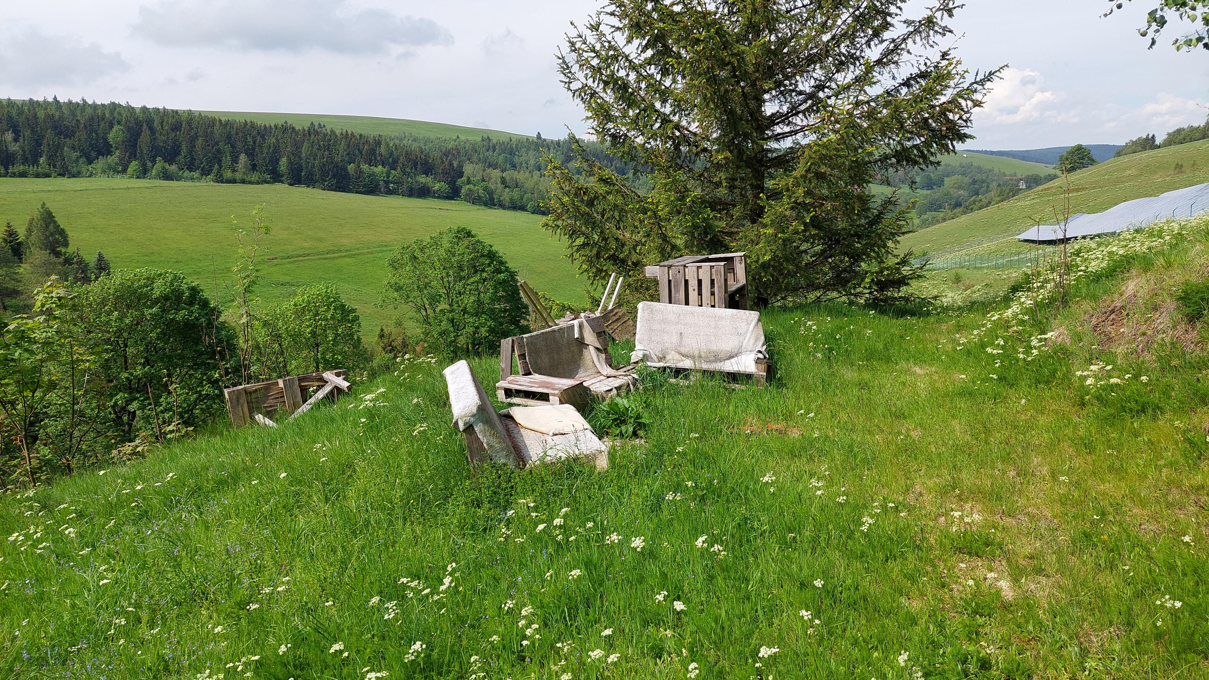 Tělocvičná jednota Sokol Louny foto 3