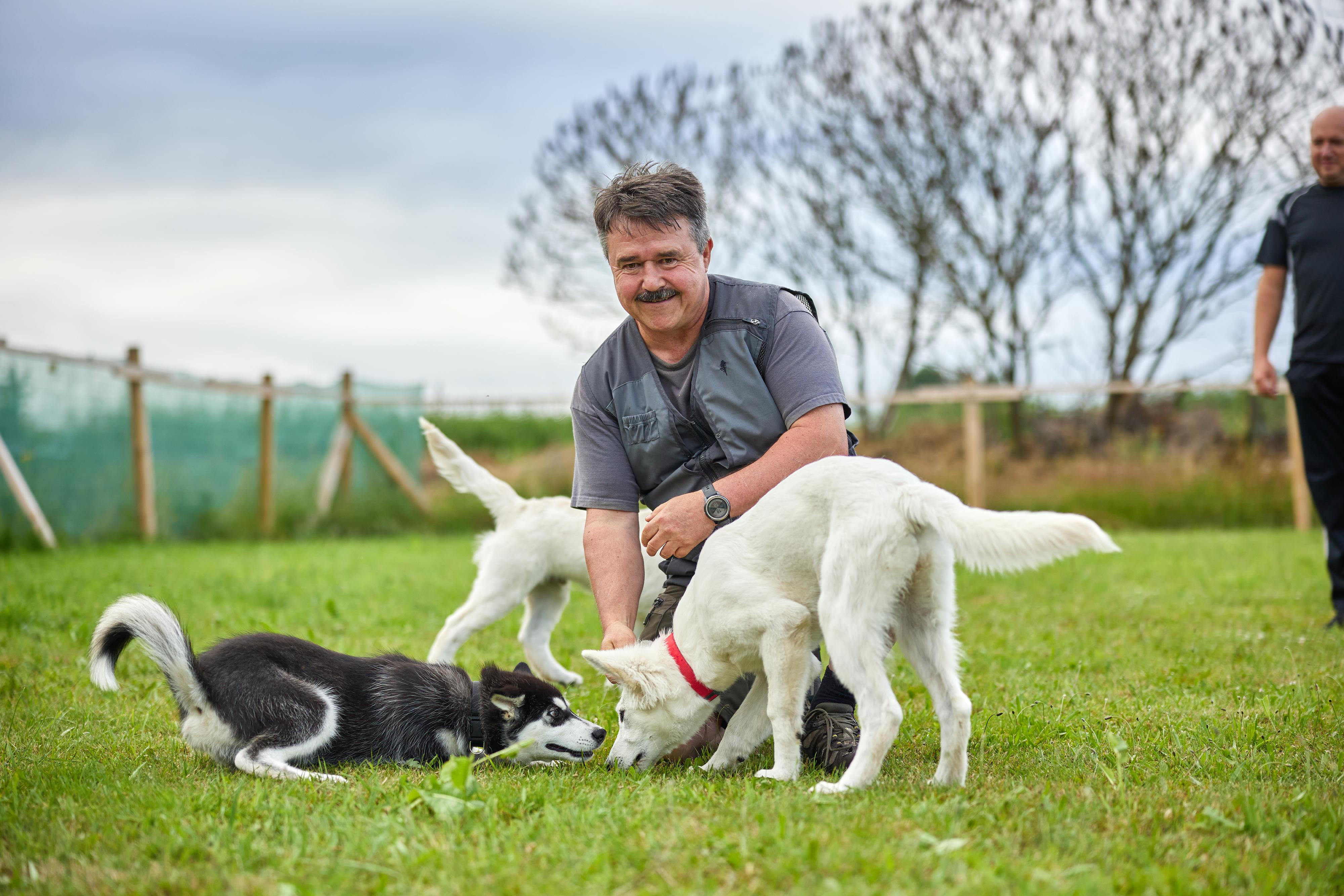 Krkonošská psí škola