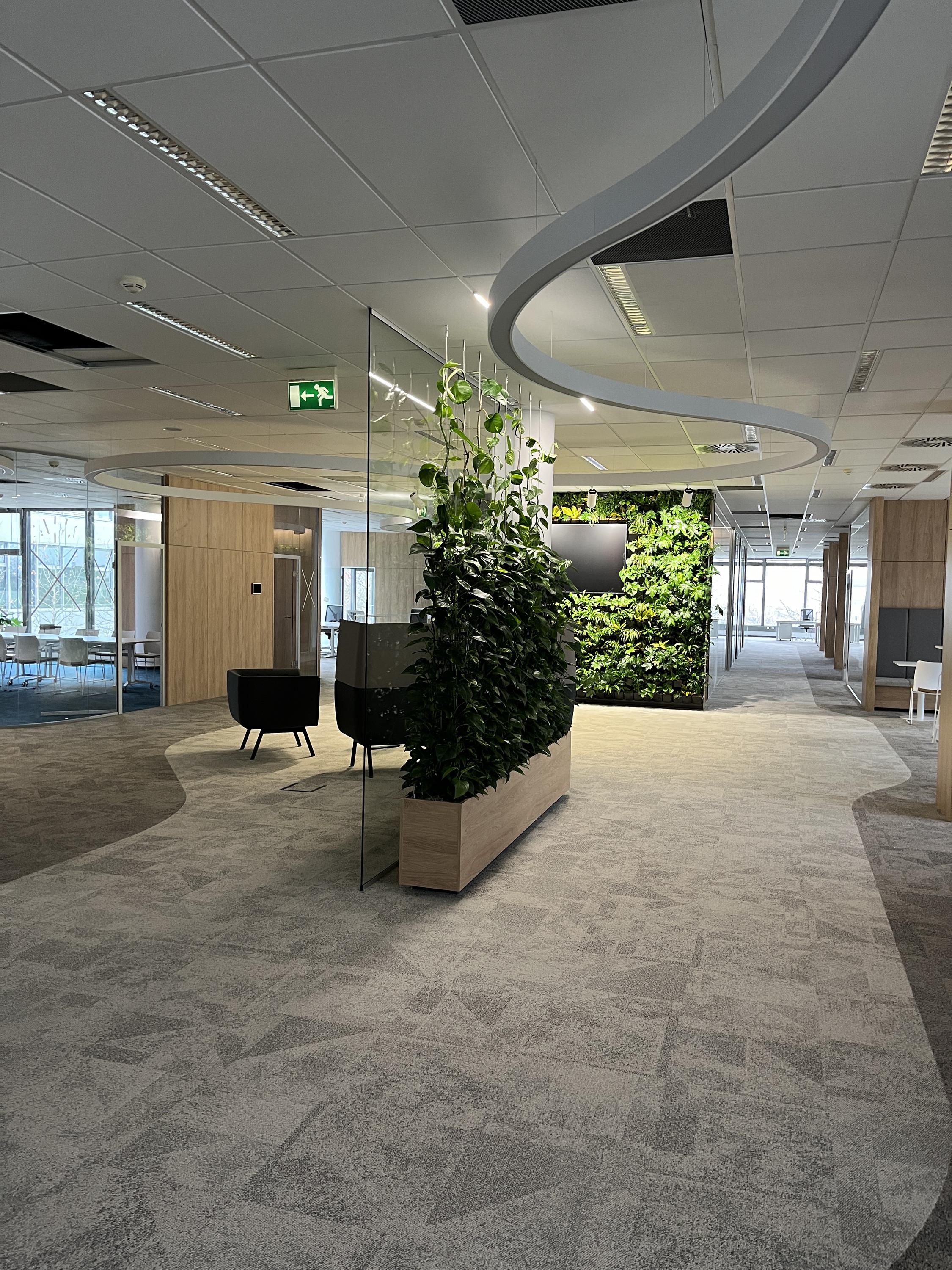 SOLSOL s.r.o. foto 5