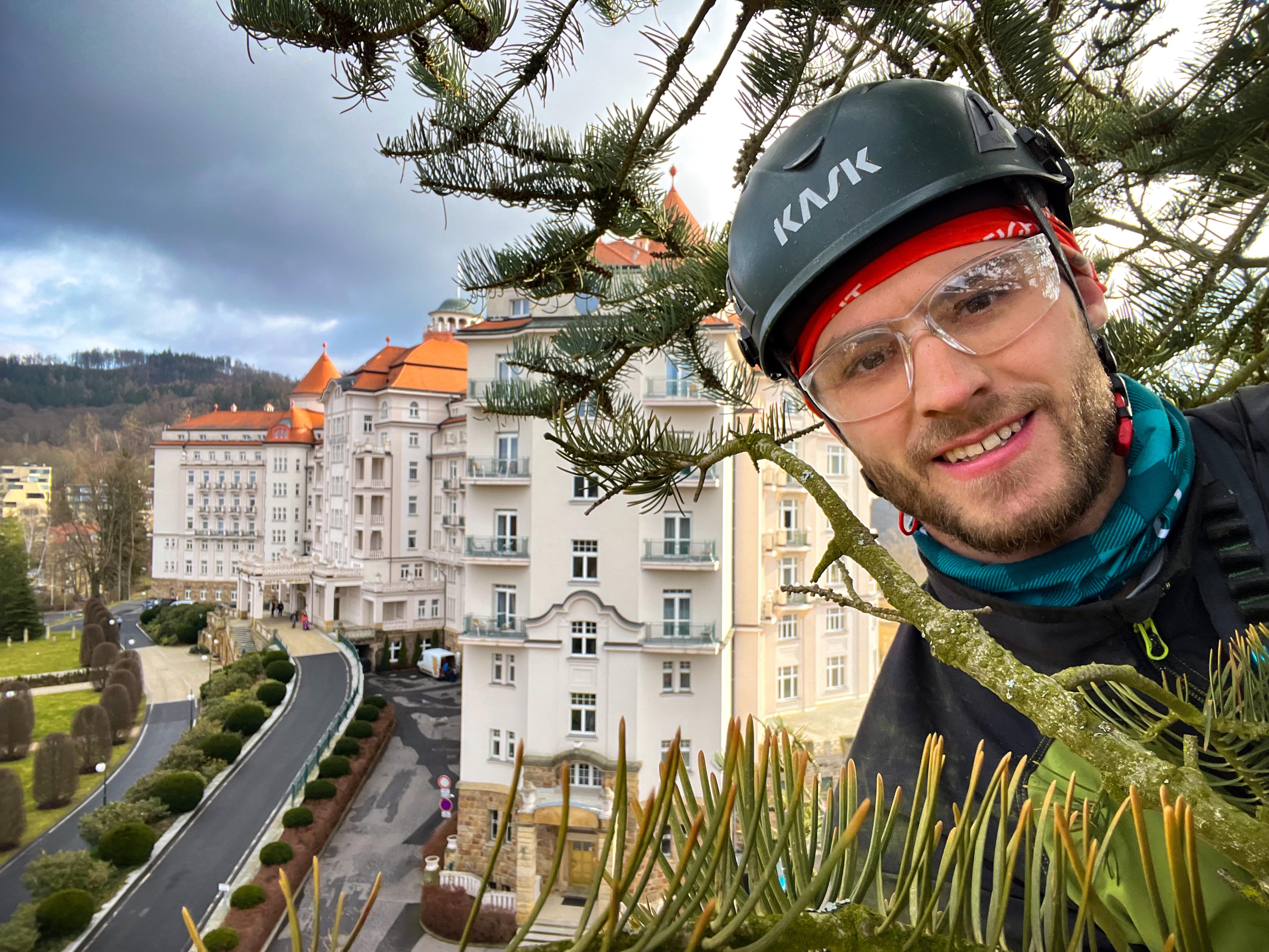 Arboristika a dendrologie Ing. Marek Cvach foto 3