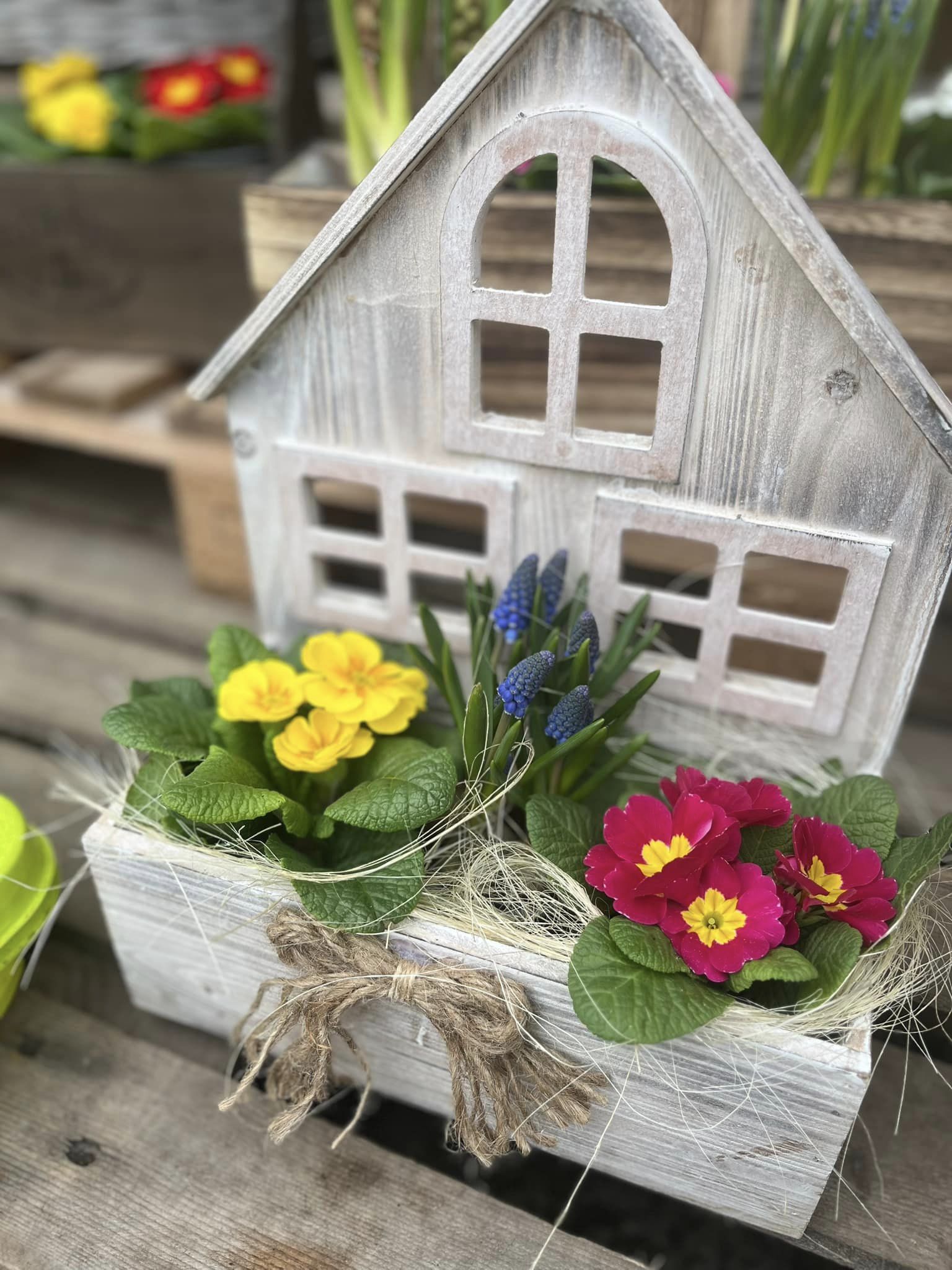 Písecká kytičkárna foto 3