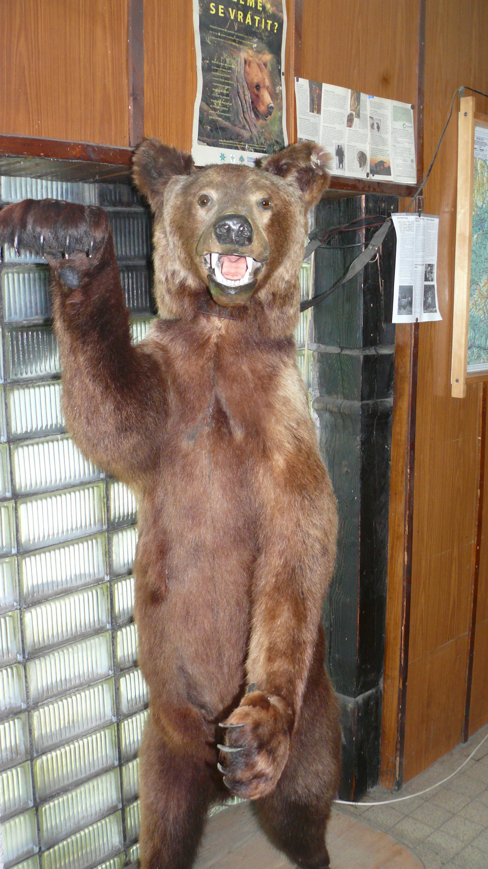 Bezručova jizba foto 6