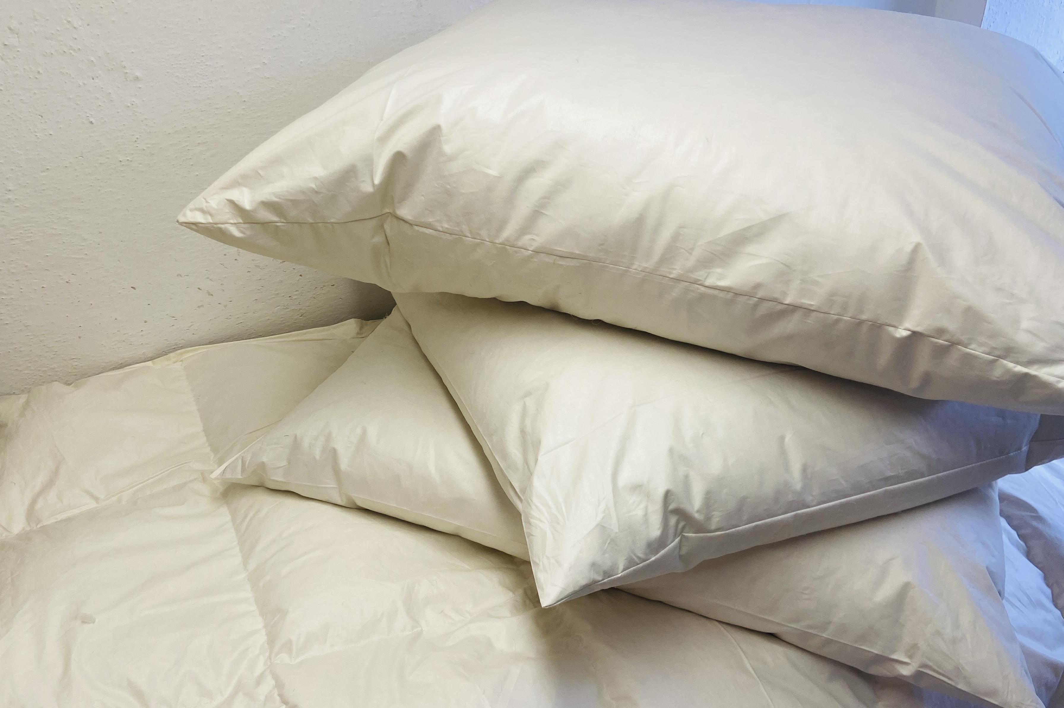 Čistírna peří Monika