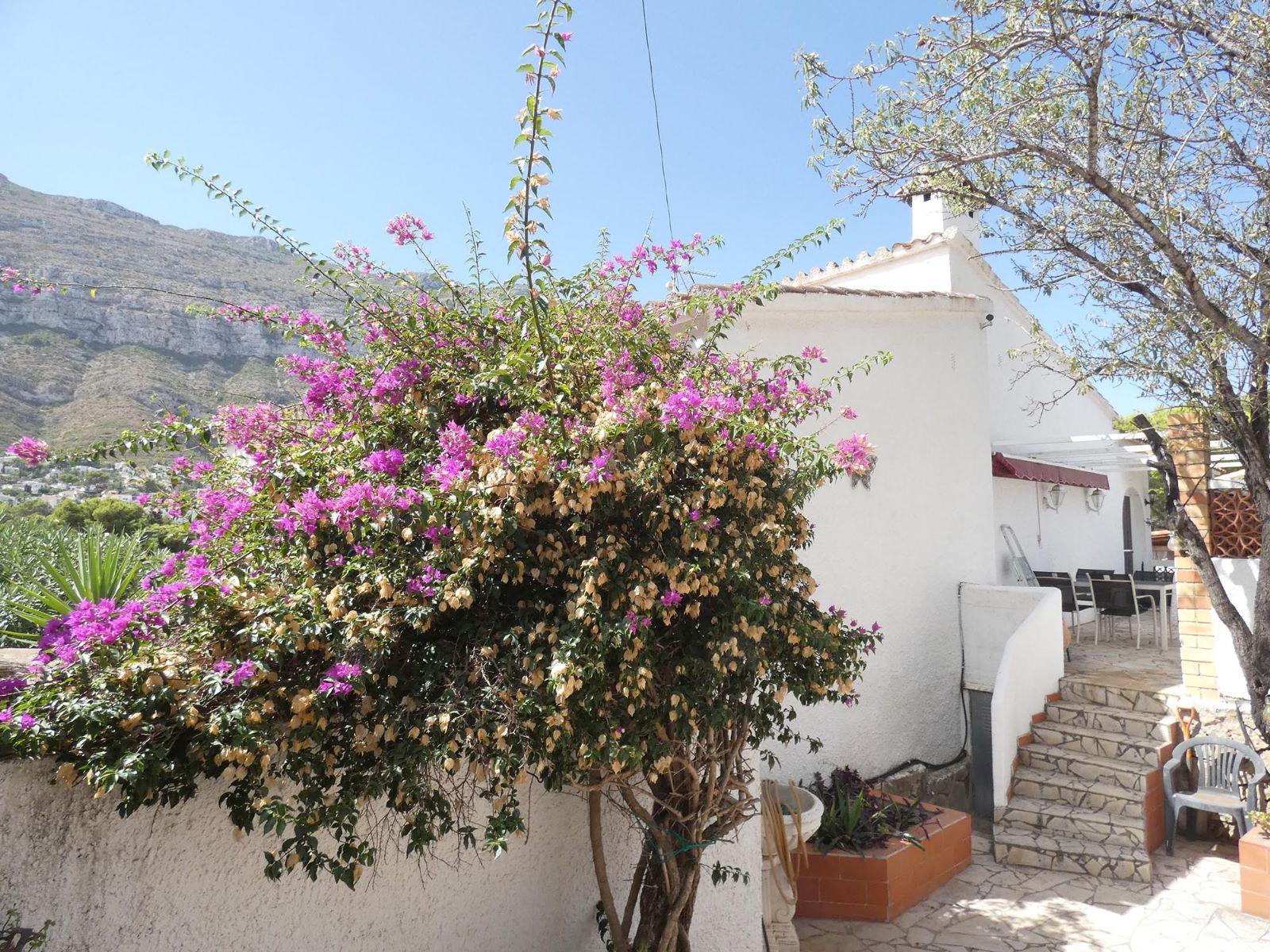 Martina Běhanová foto 4