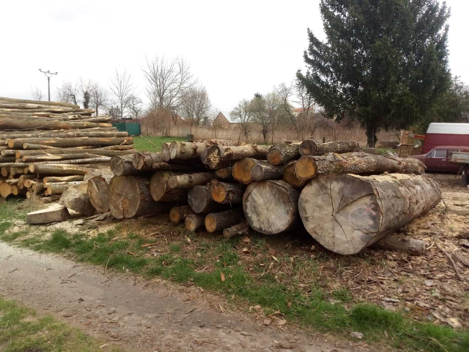 Dřevo na topení Kadlec foto 3