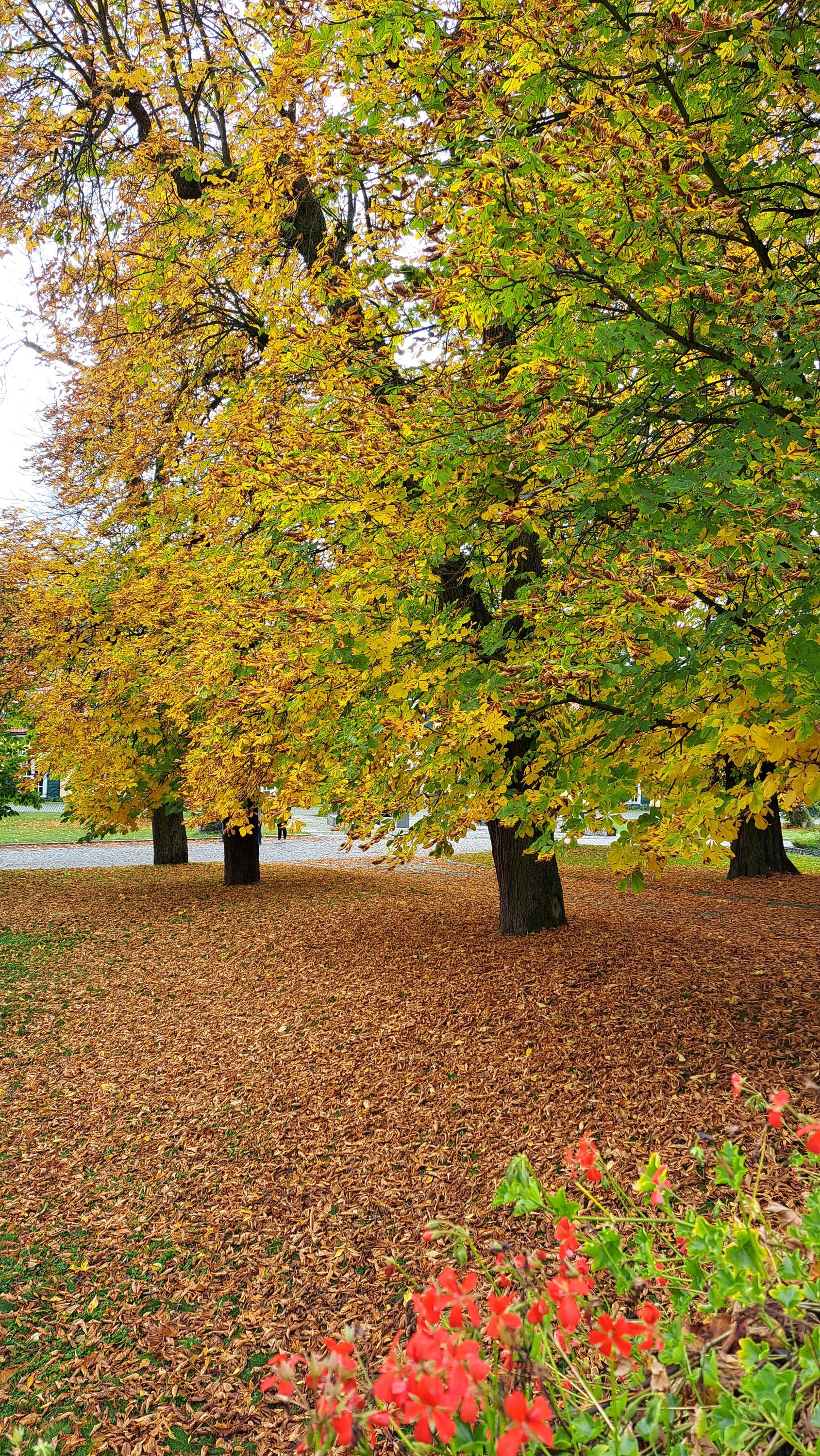 Muzeum Ostrov lidových krojů foto 6