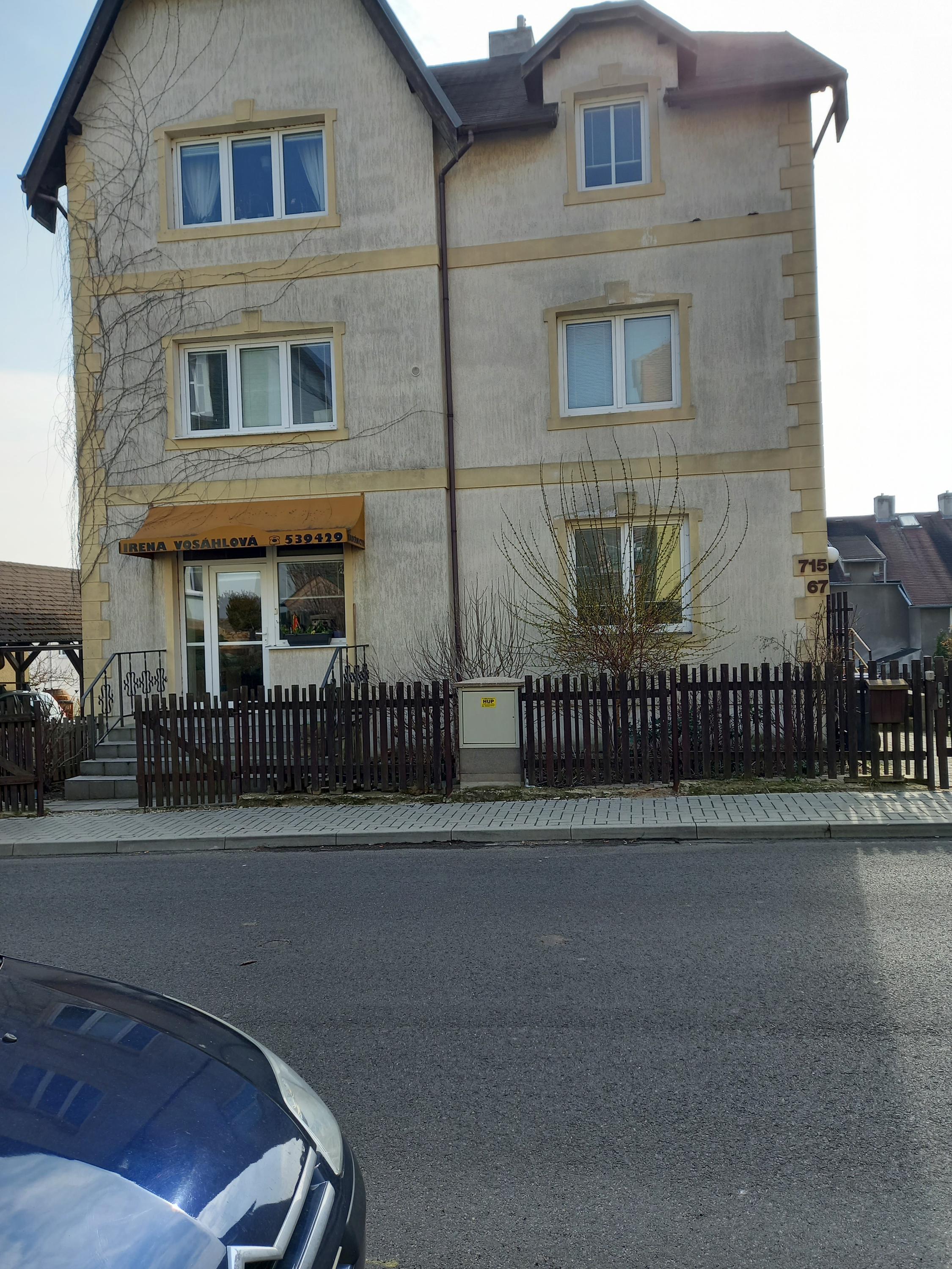 Irena Vosáhlová foto 2