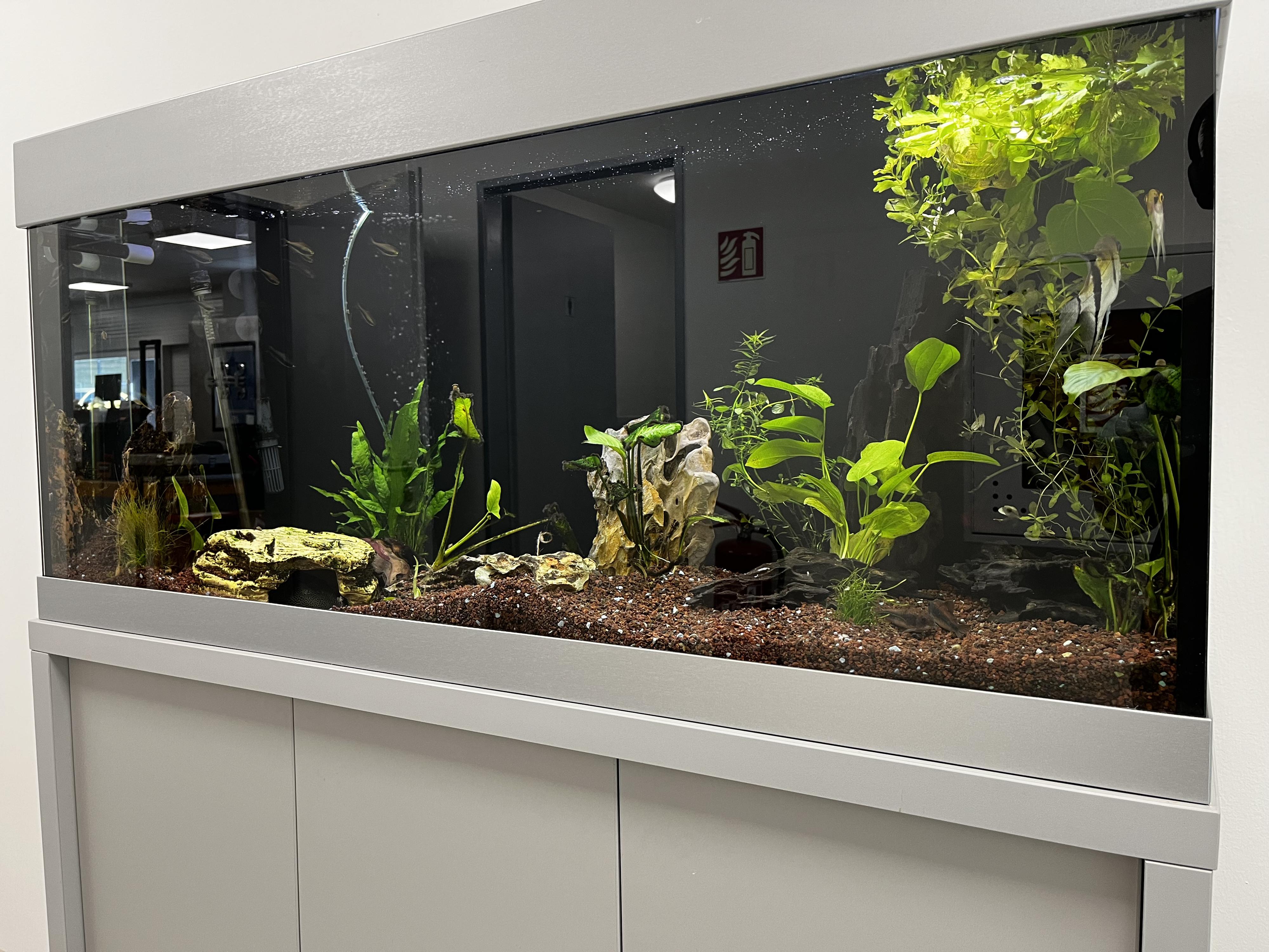 Millennial Facility foto 5