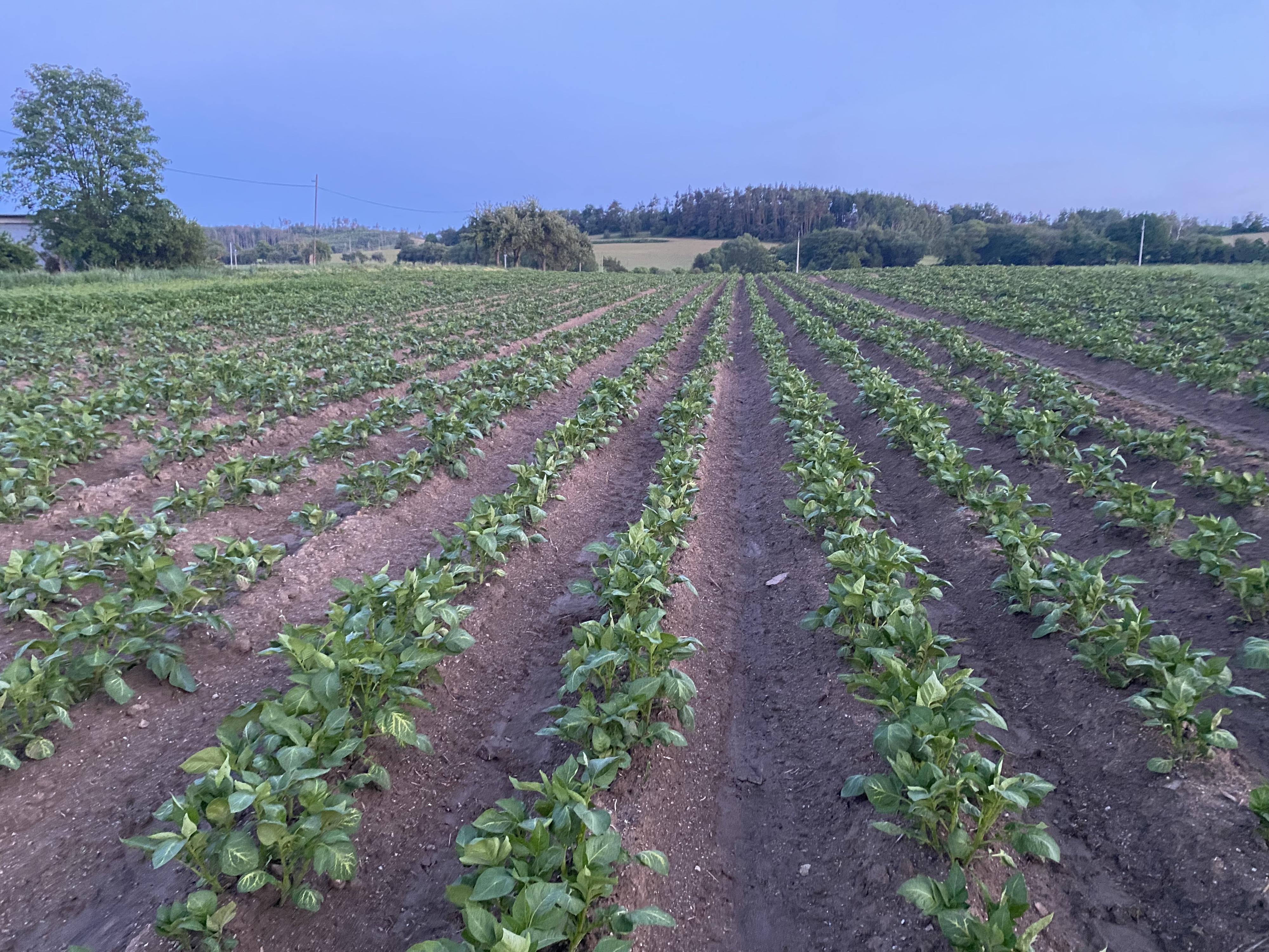 Farma Jura foto 4