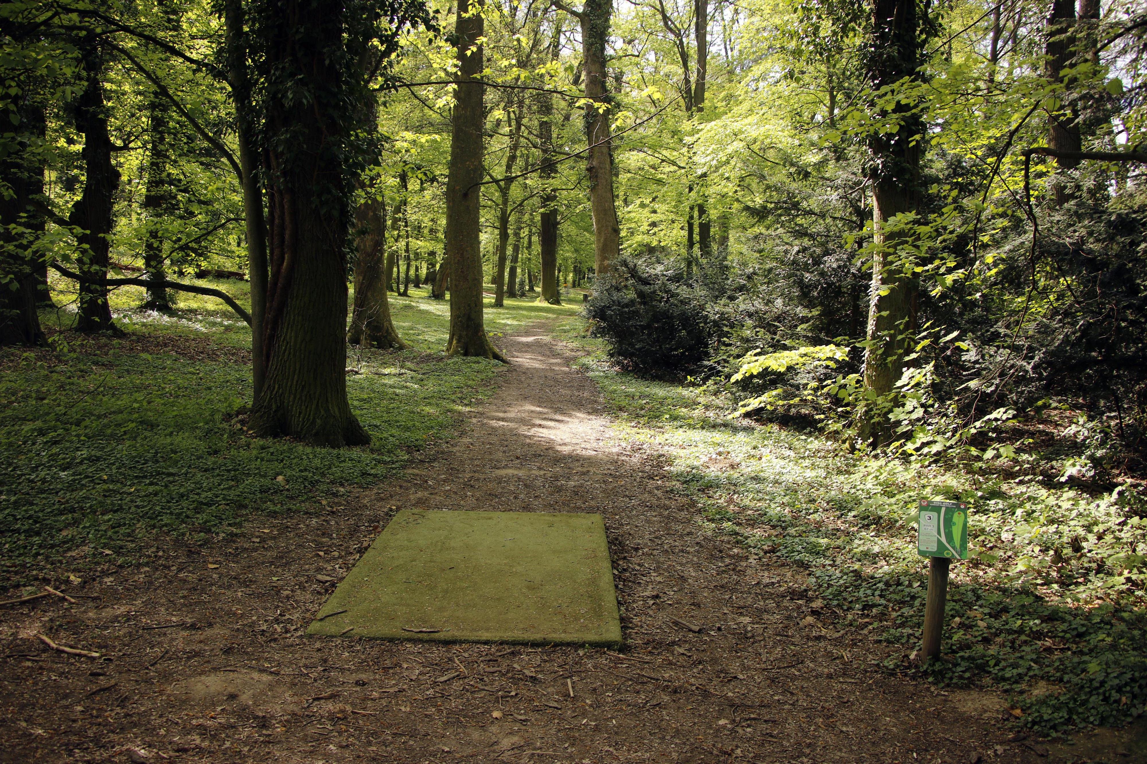 Discgolf Choltice foto 5