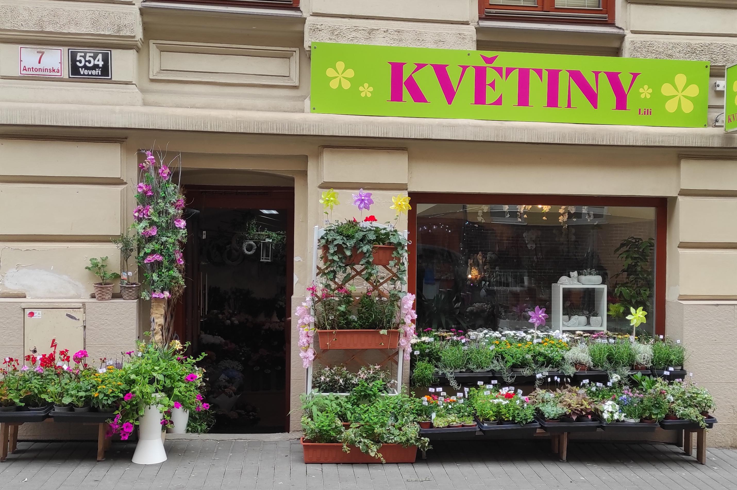 Květiny Antonínská foto 1