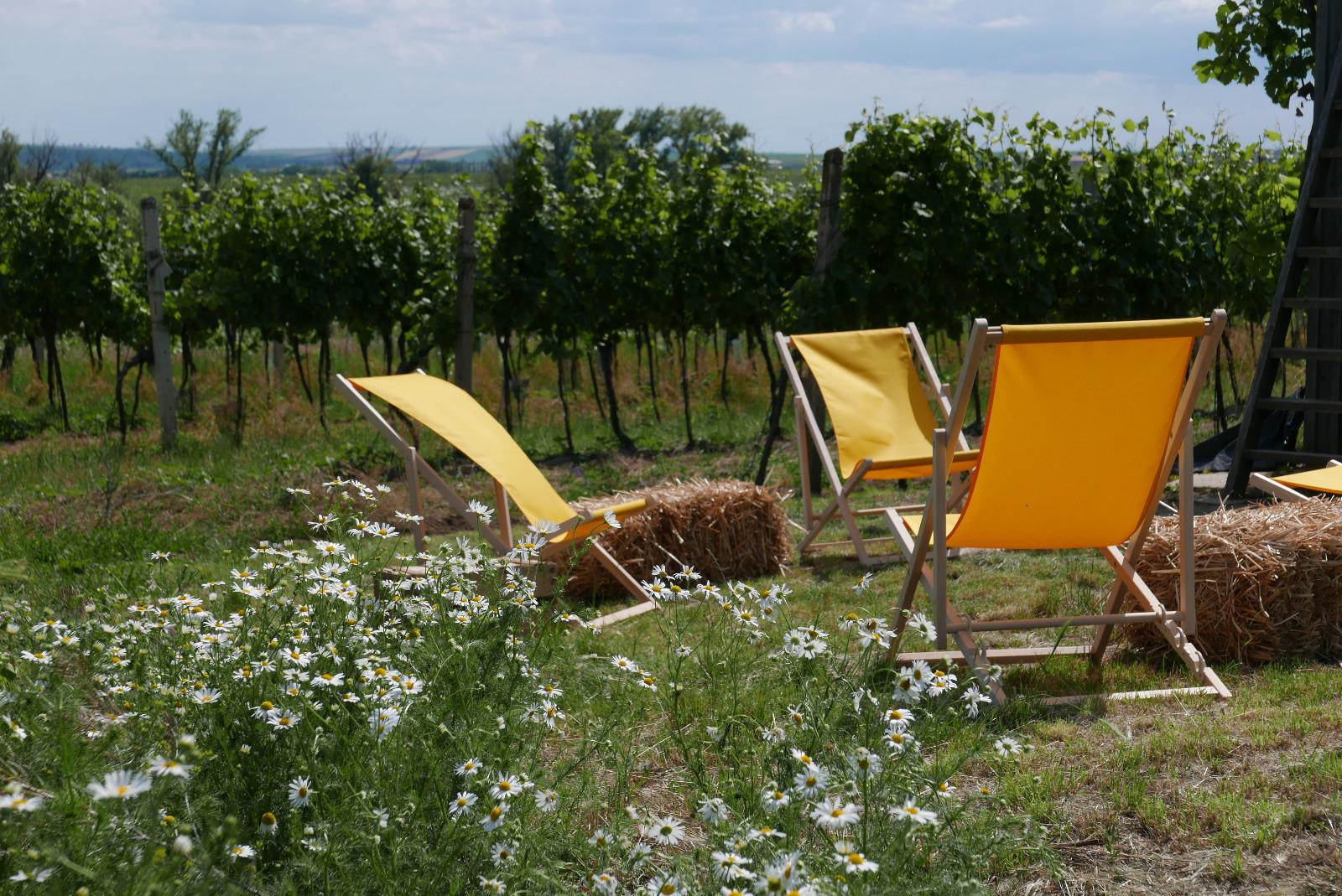 Bistro u Hroznové kozy foto 4