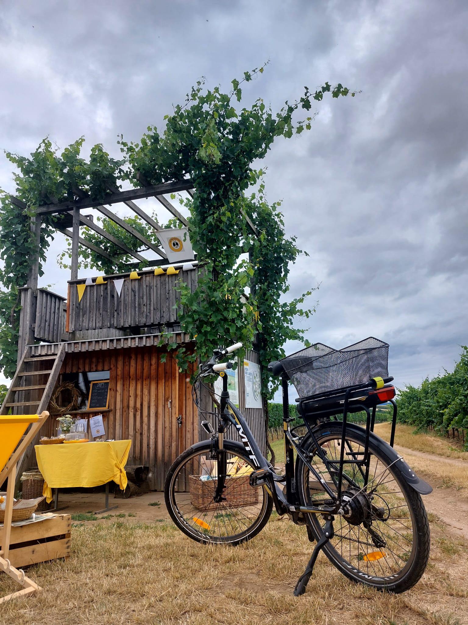 Bistro u Hroznové kozy foto 2