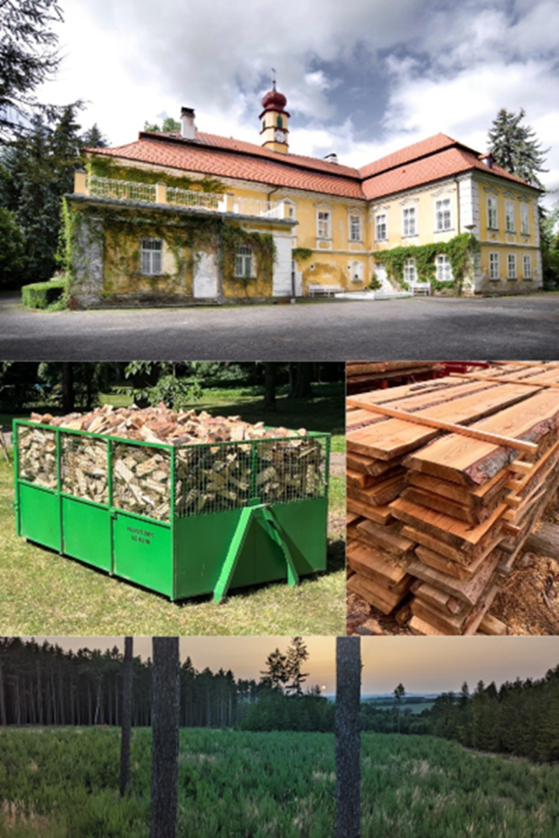 Lesy Úlice foto 2