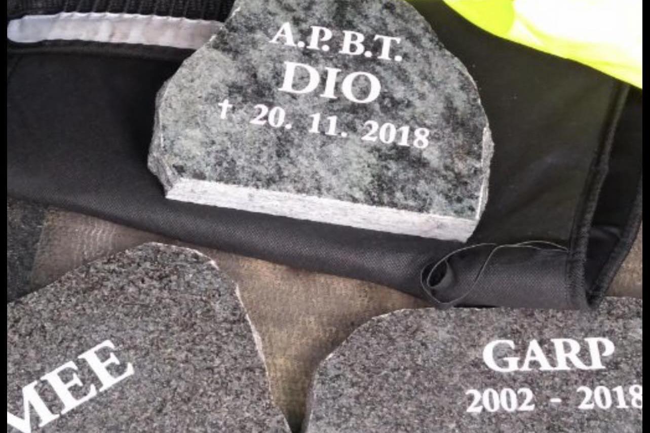 Zhotovení a obnova písma