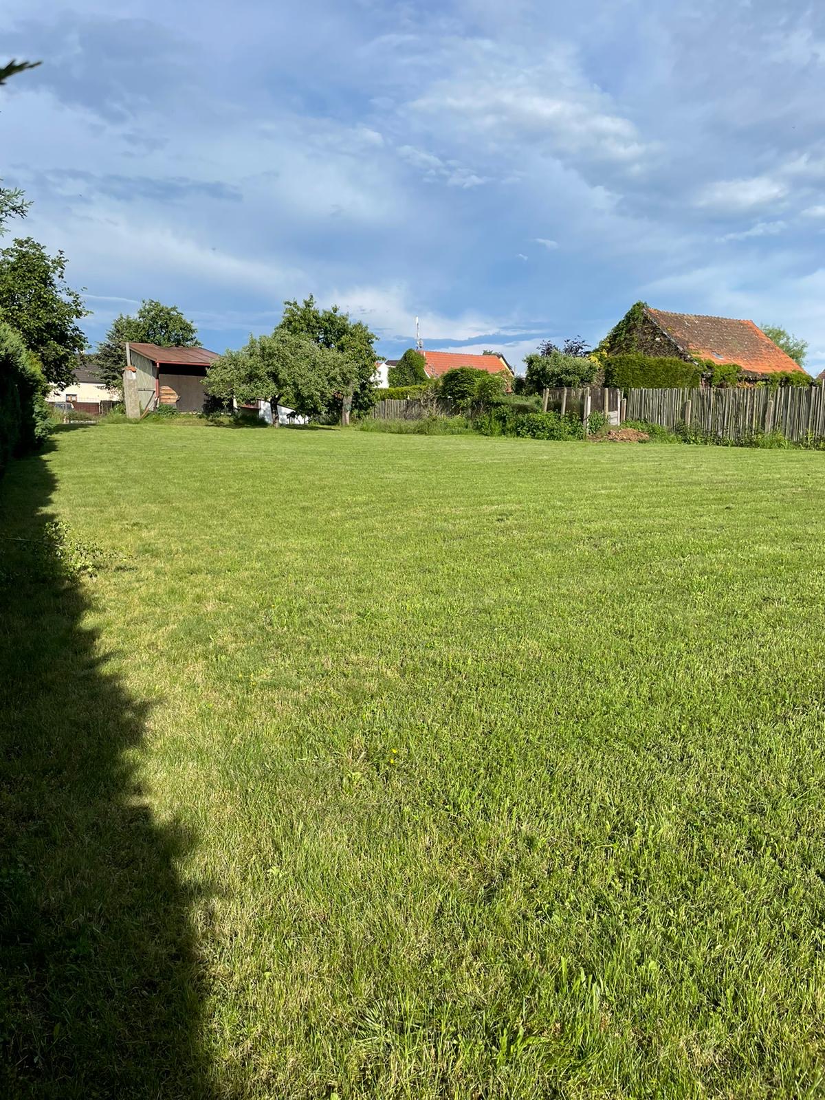 Psí hotel Šťastná Tlapka foto 2