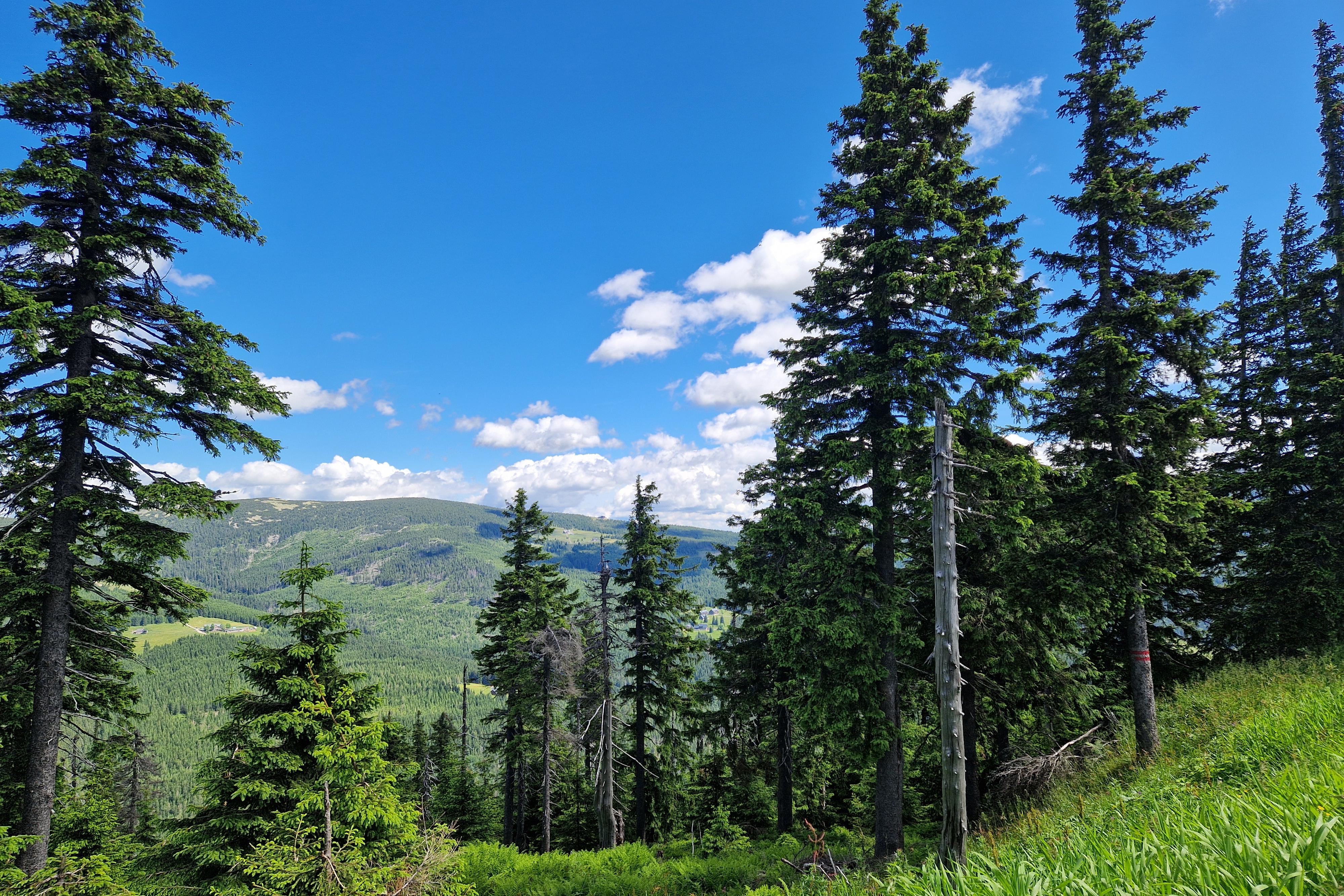 Relax v Krkonoších