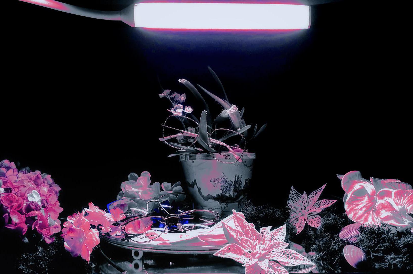 Oční optika Hýblová