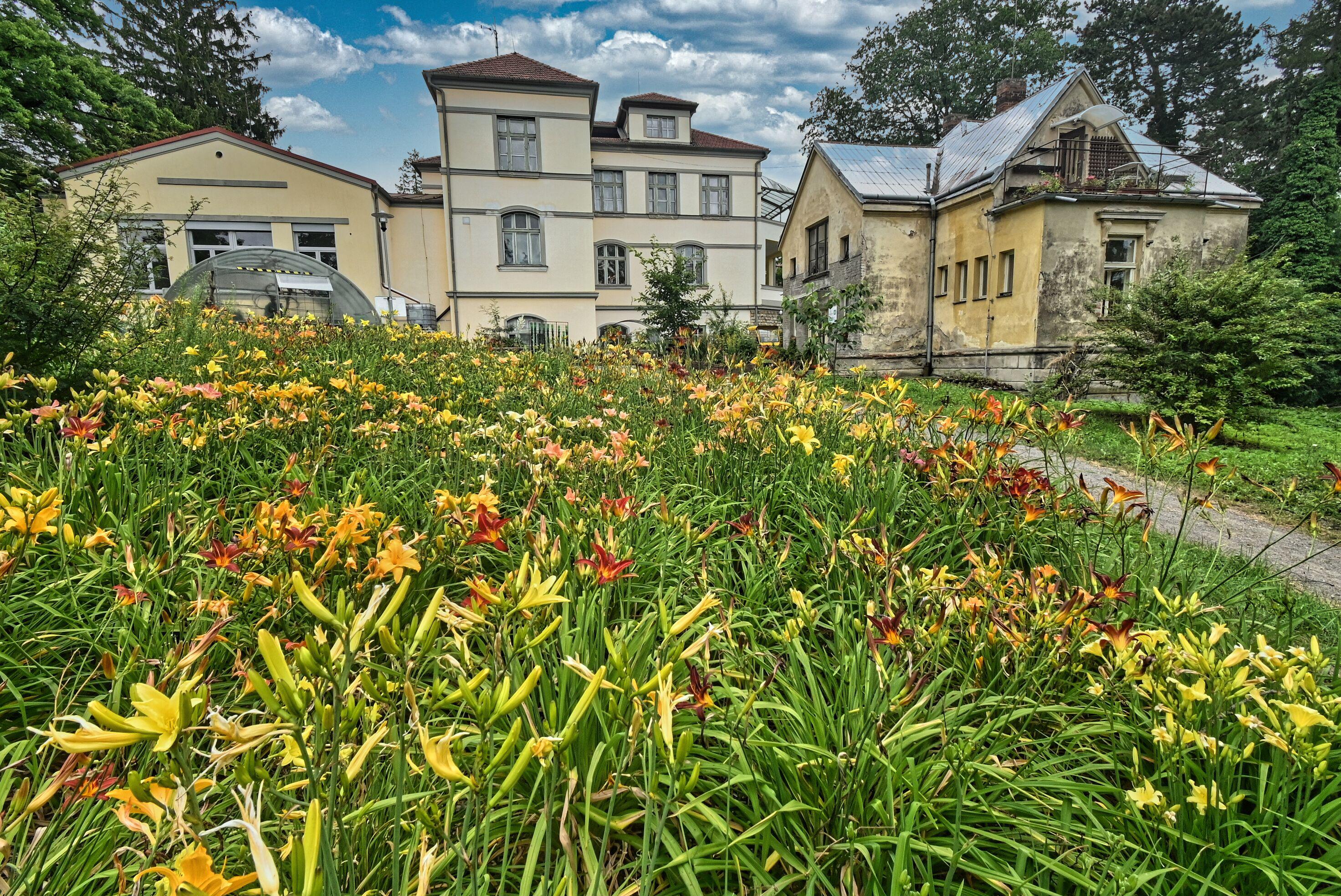 Rehabilitační ústav Hamzova léčebna foto 2