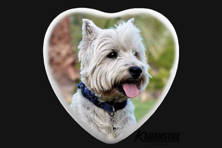 Fotokeramika = vzpomínka, která nikdy nevybledne