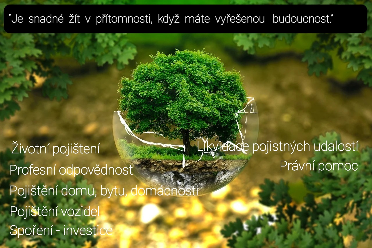 David Strnad - privátní finanční specialista foto 4