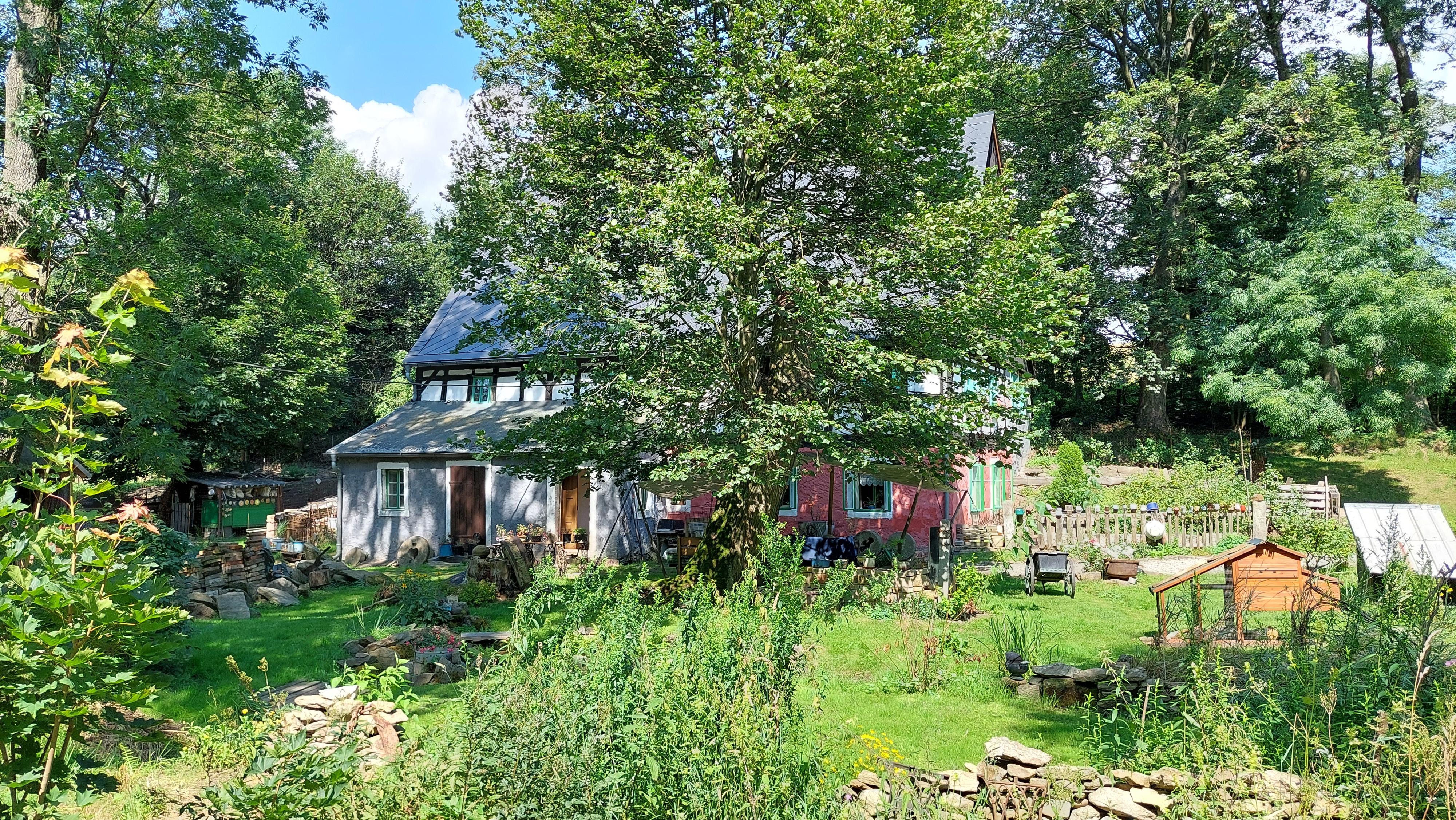 Grizzlochův mlýn foto 6