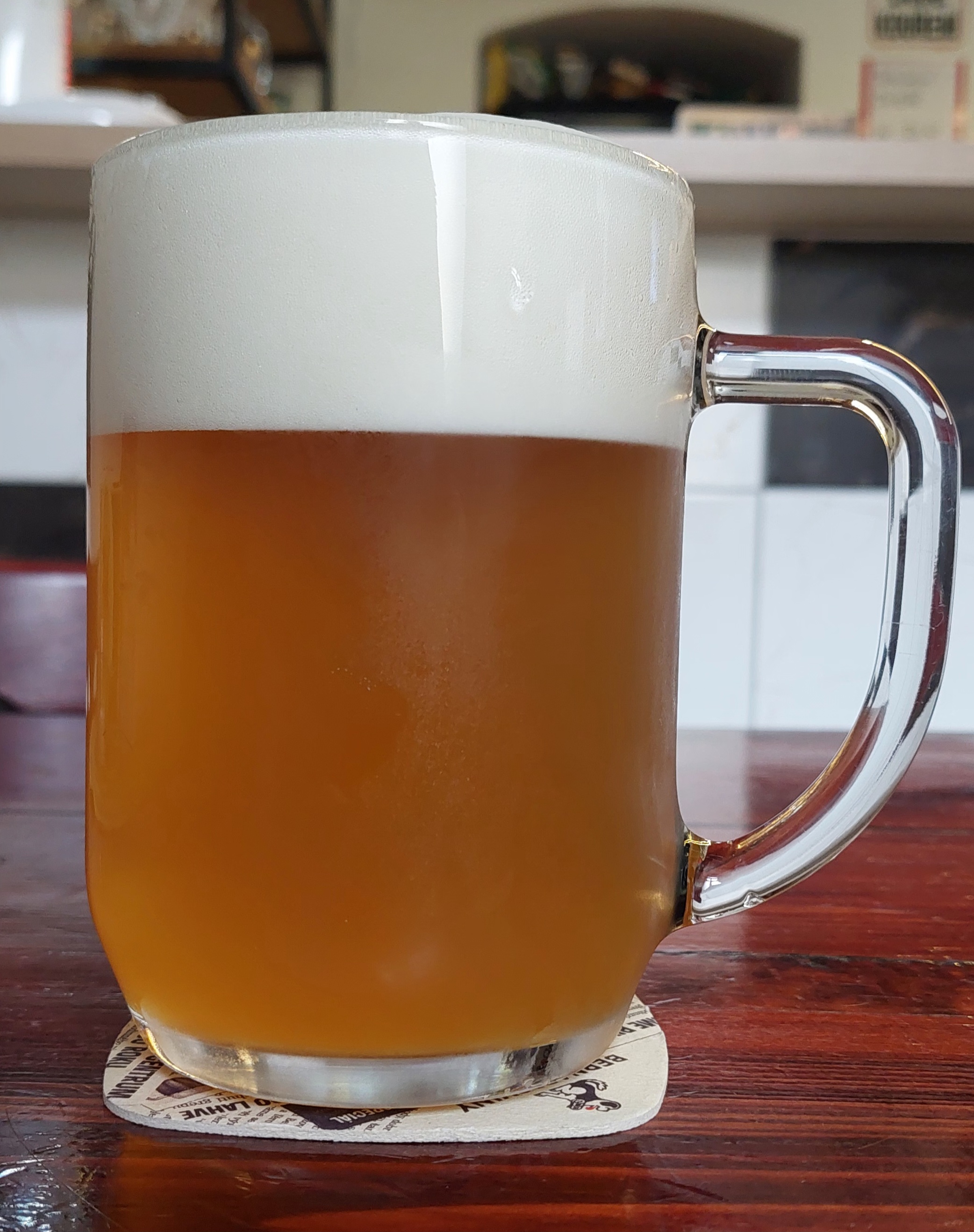 ŠPUB foto 4