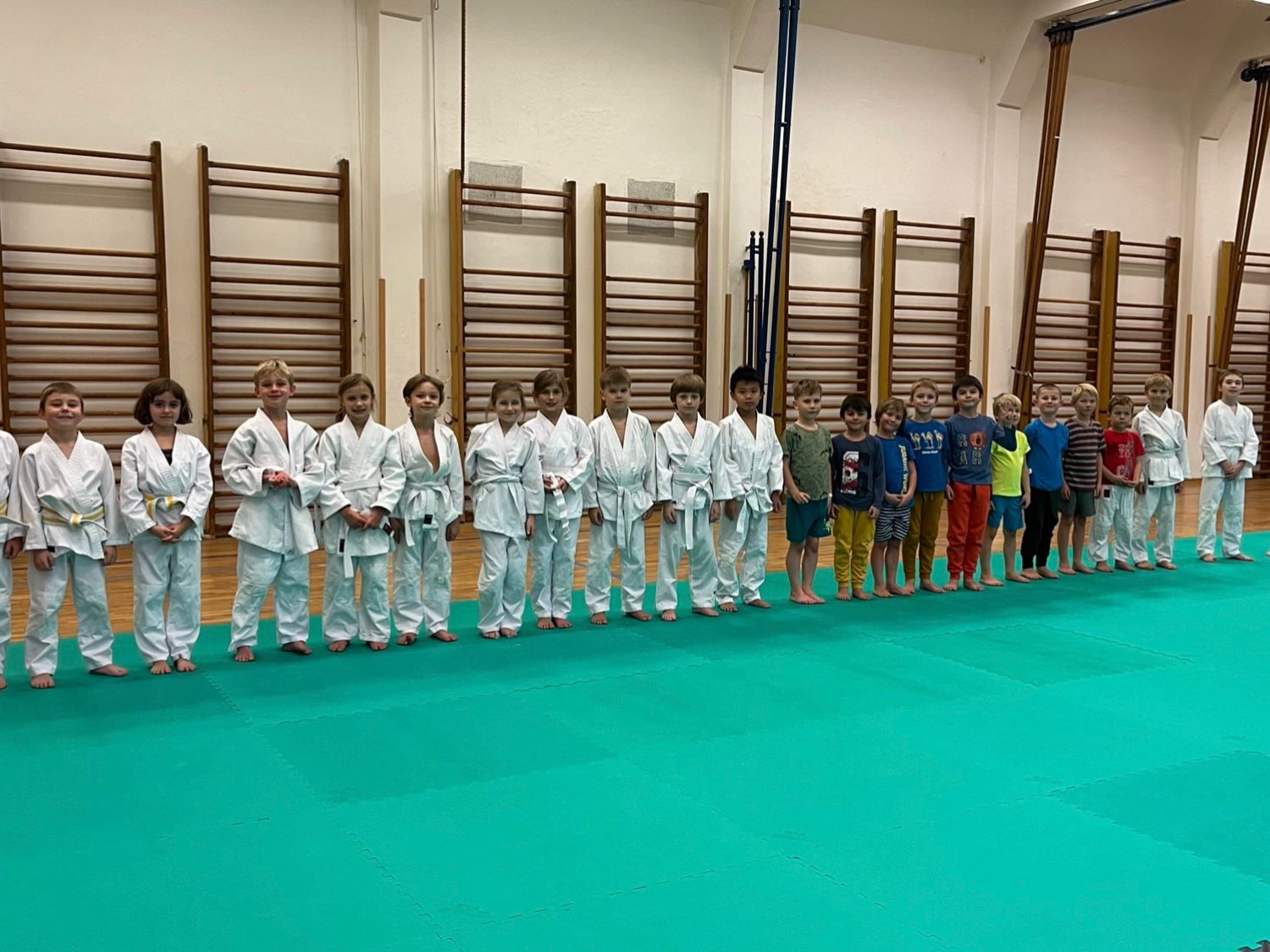 Judo Best Motion foto 3