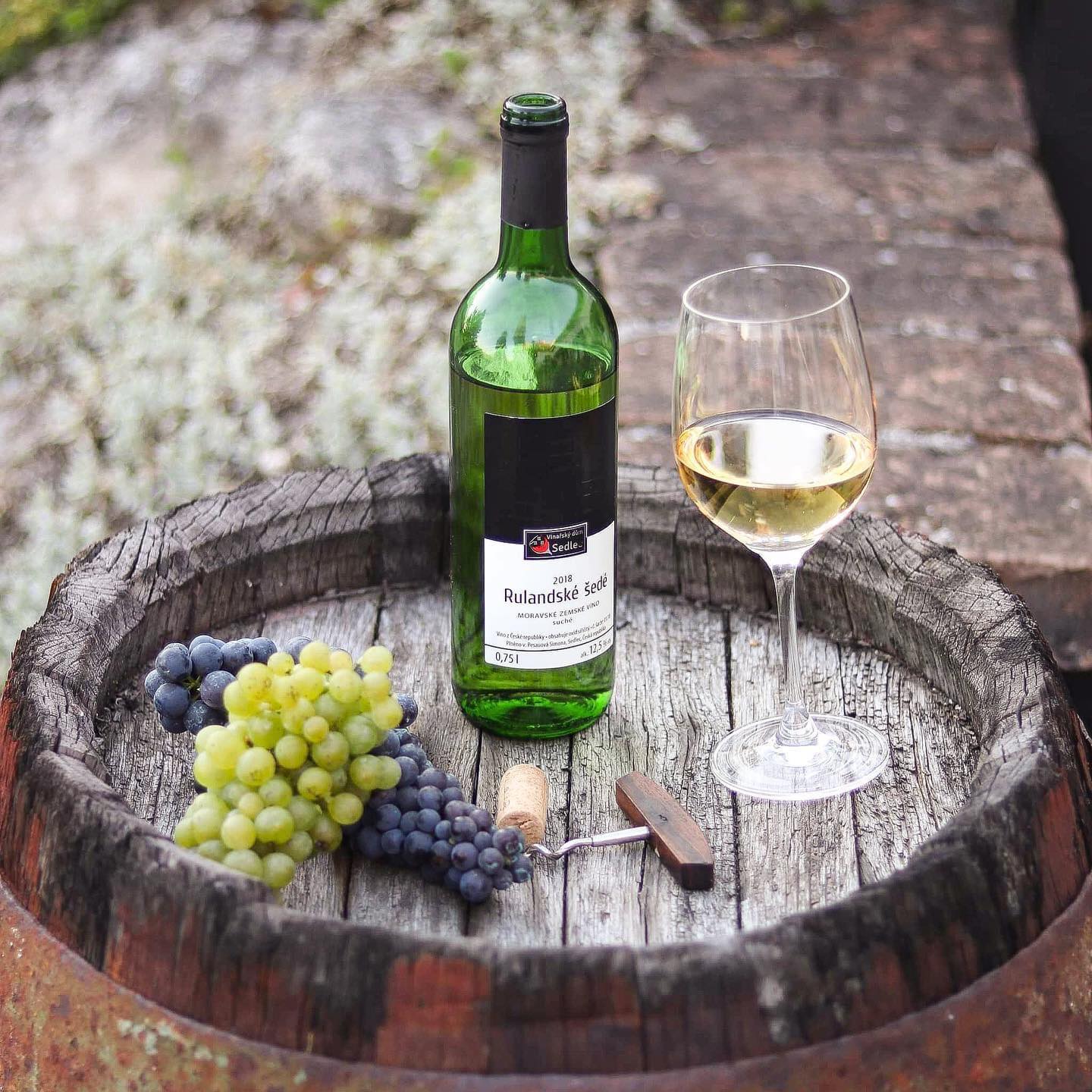 Vinařský dům Sedlec - degustační sklep foto 2