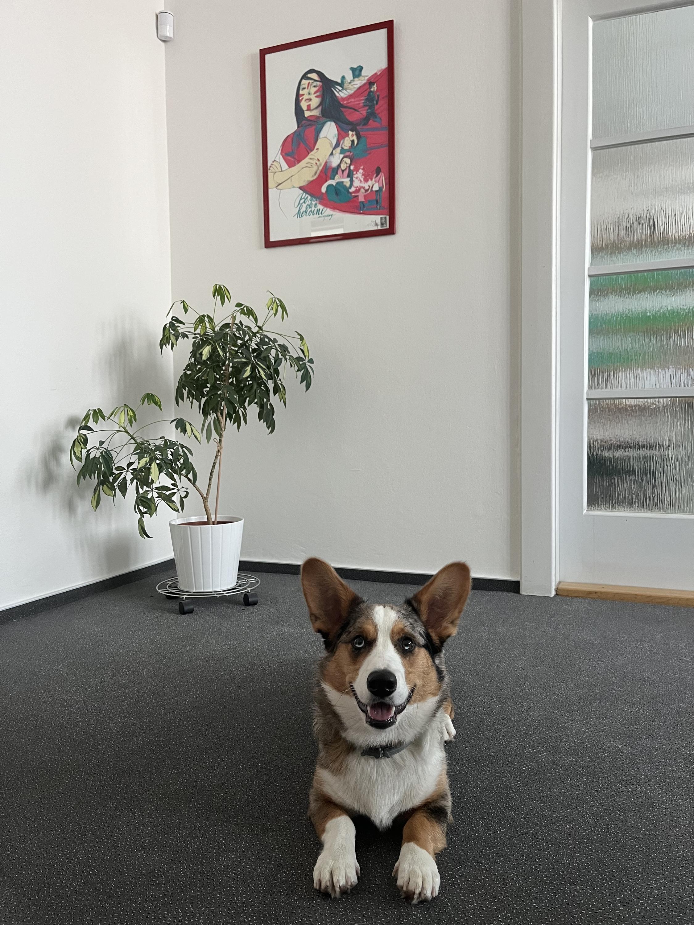 Mgr. Hana Pospíšilová, LL.M., advokátka foto 2