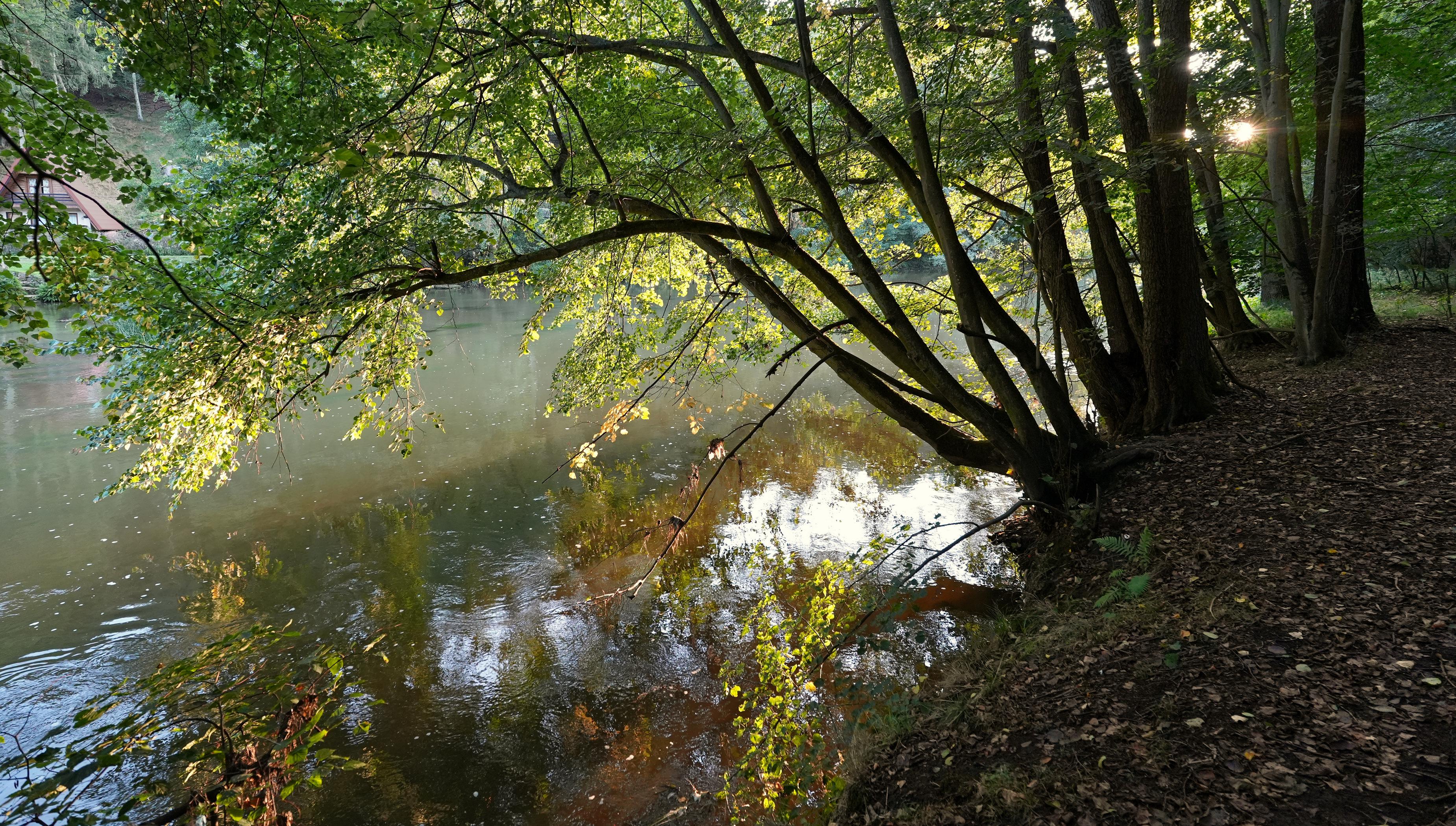 Vodácké tábořiště Loket foto 4
