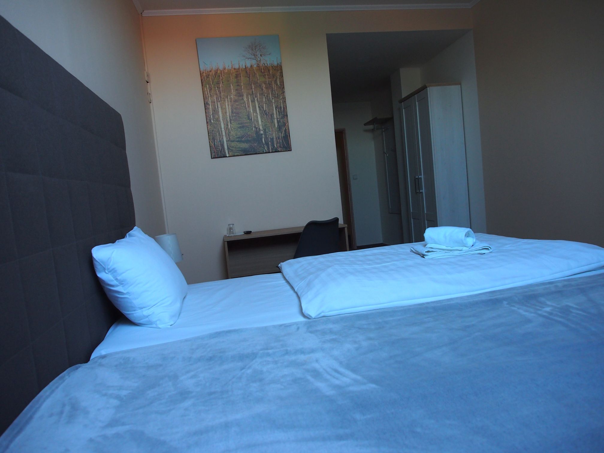 Penzion U Hroznu foto 6