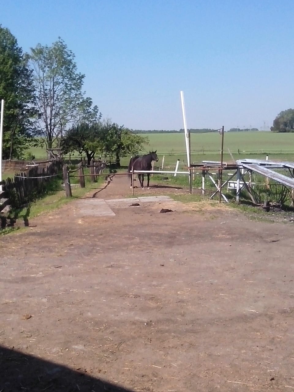 Sportovní klub Skalický dvůr foto 5