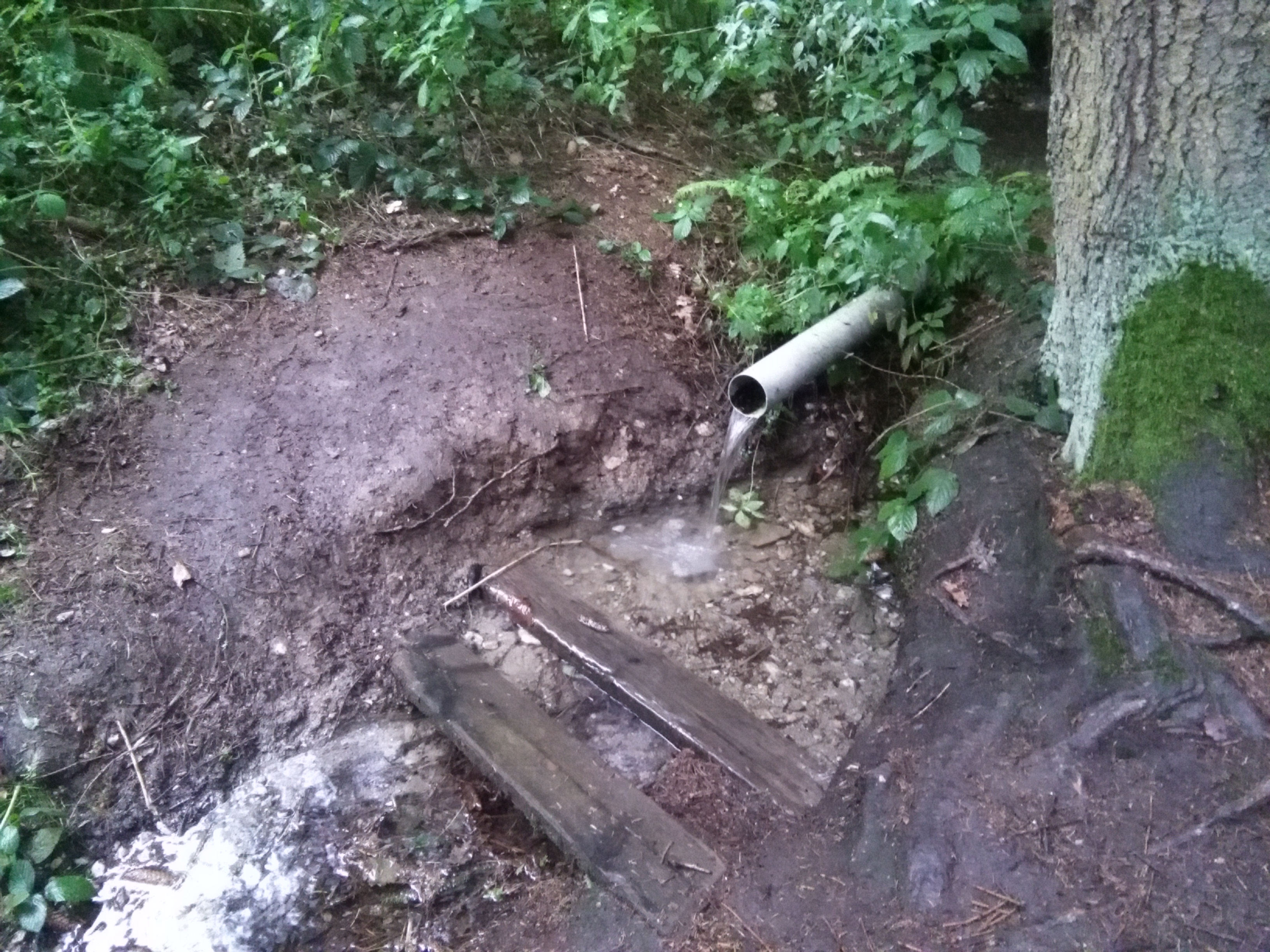 Tábořiště U Vlka foto 3