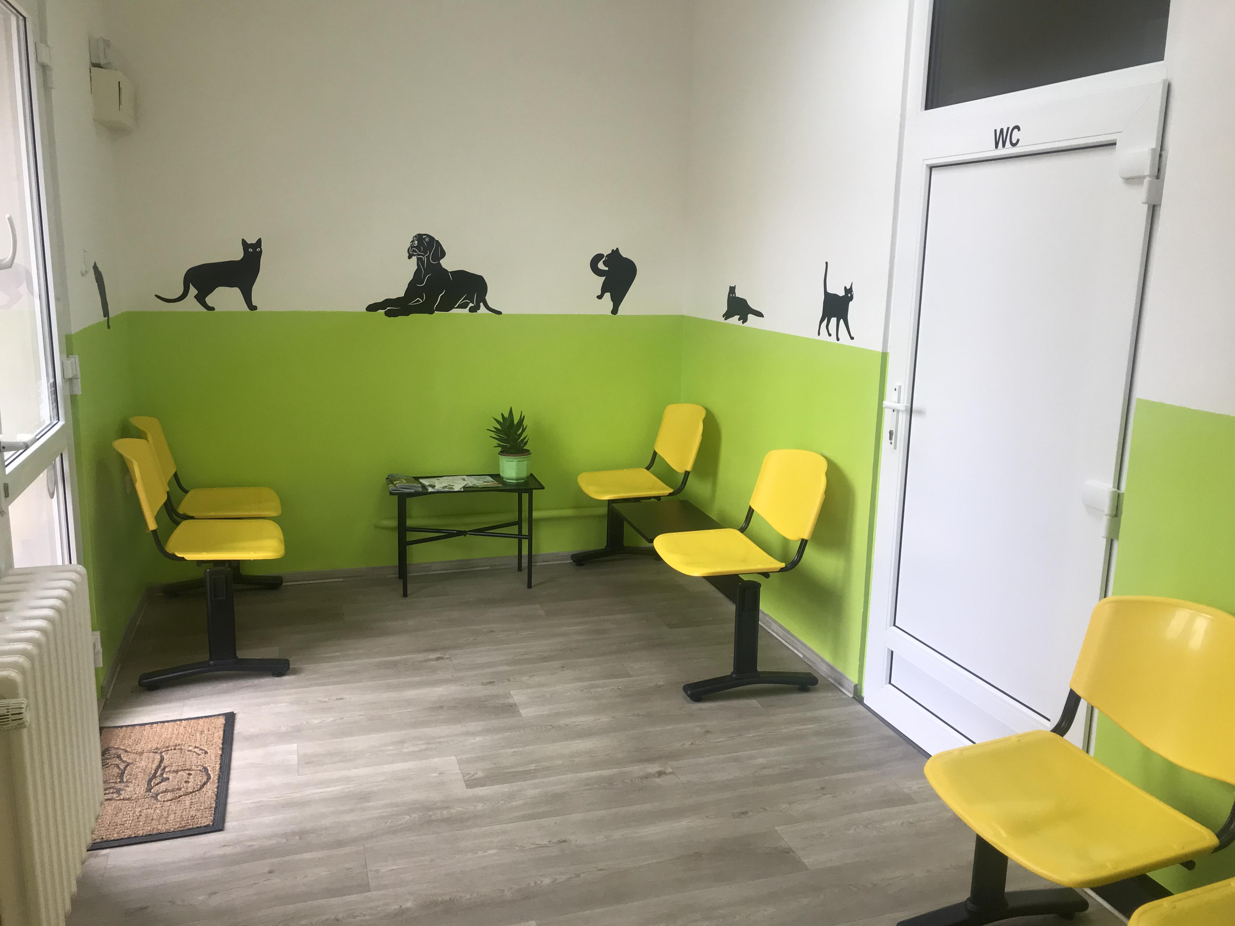 Veterinární ordinace MiaVet foto 2