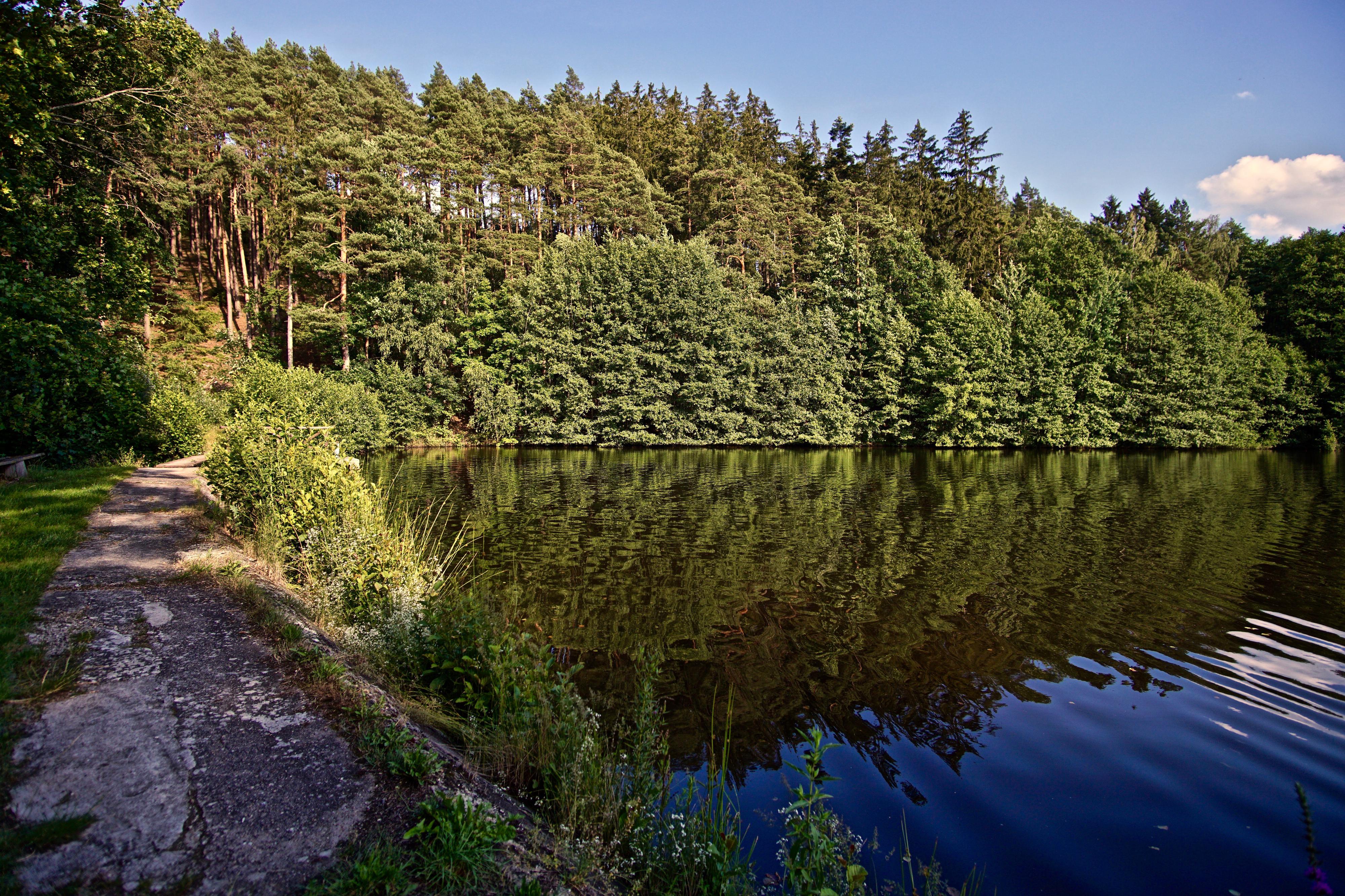 Přírodní koupaliště Medový Újezd foto 6