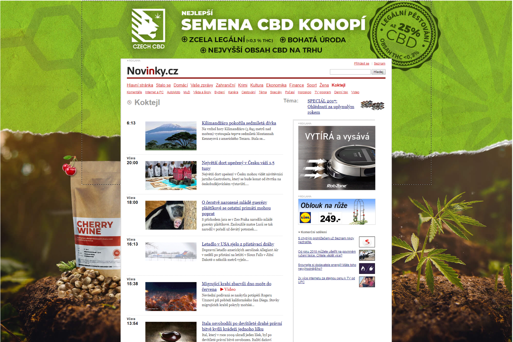E-commerce / online marketing